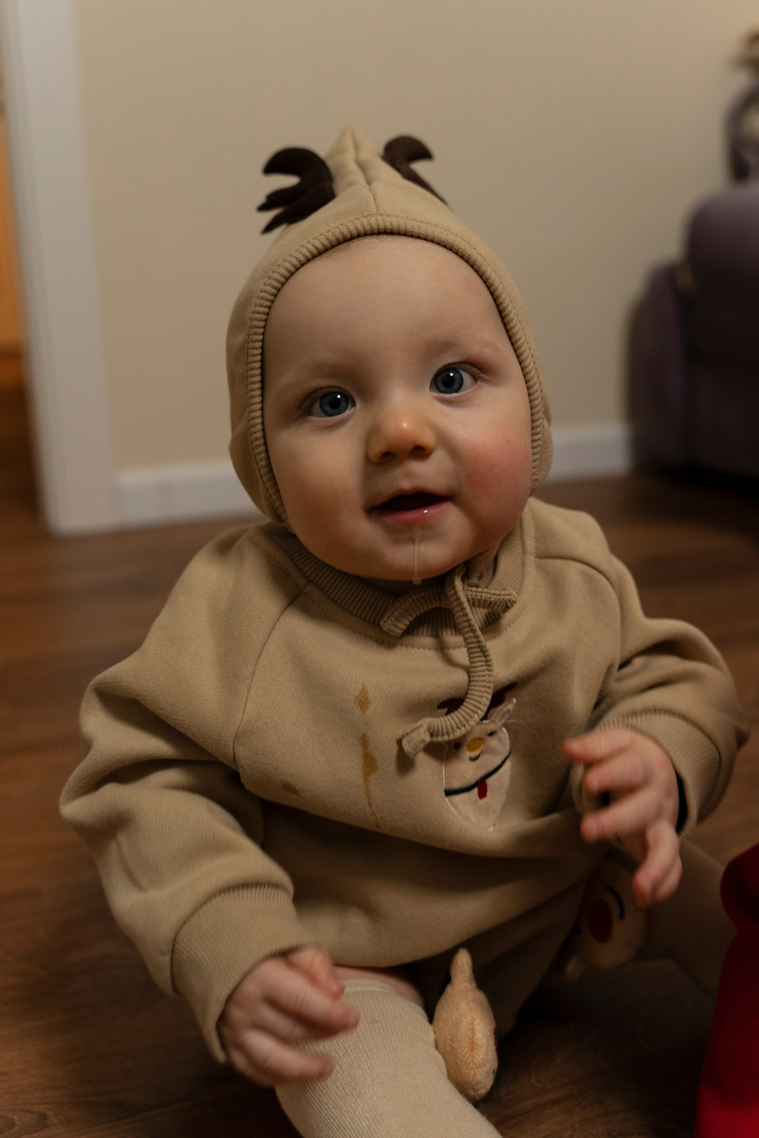 Новогодние тройняшки. Главная