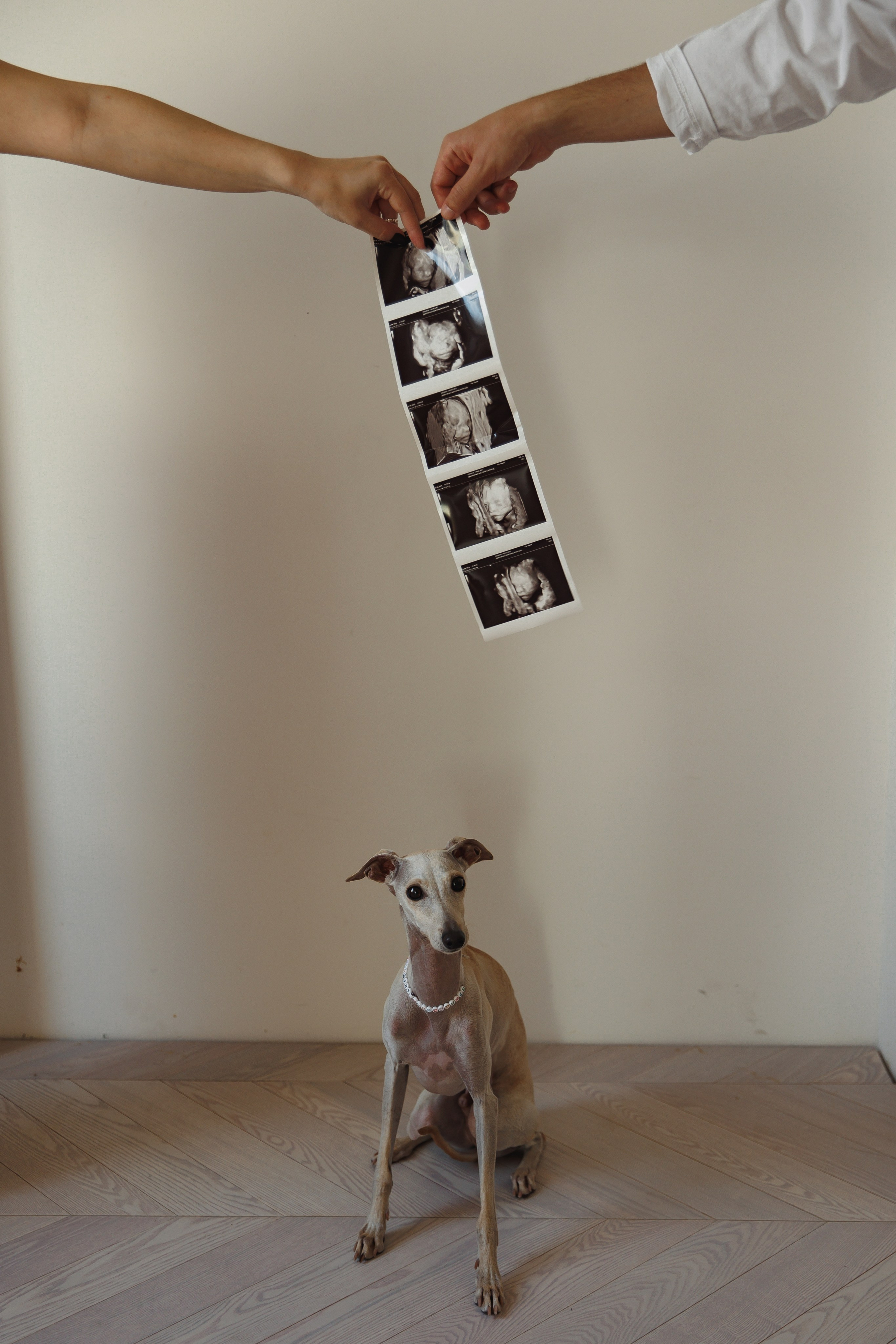 Вика и Егор в ожидании. Wedding photographer in St. Petersburg, Europe and Israel Anna Agafon