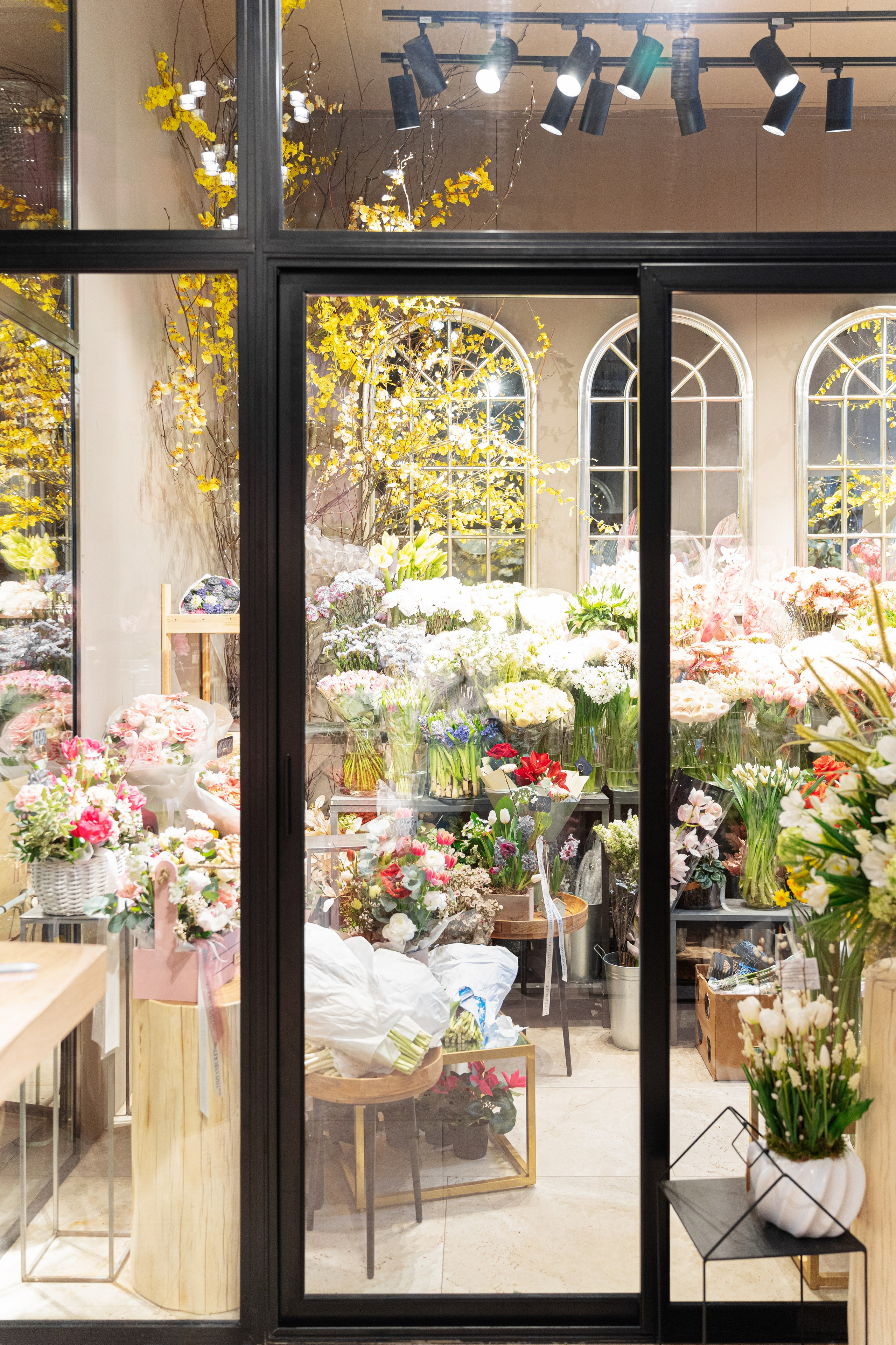 Регион холод. Елена Пашкевич, фотограф, Москва