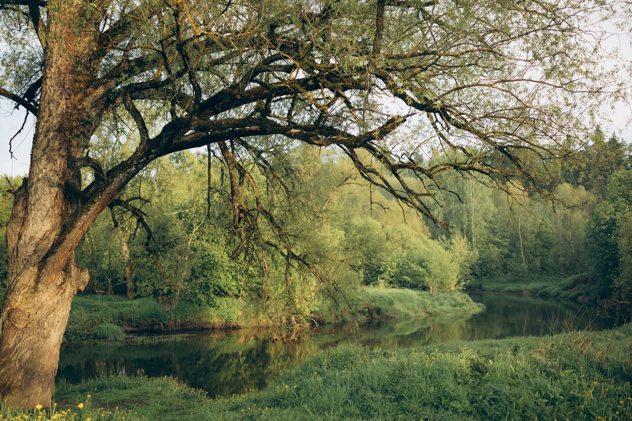 Istra. Женский фотограф Истра