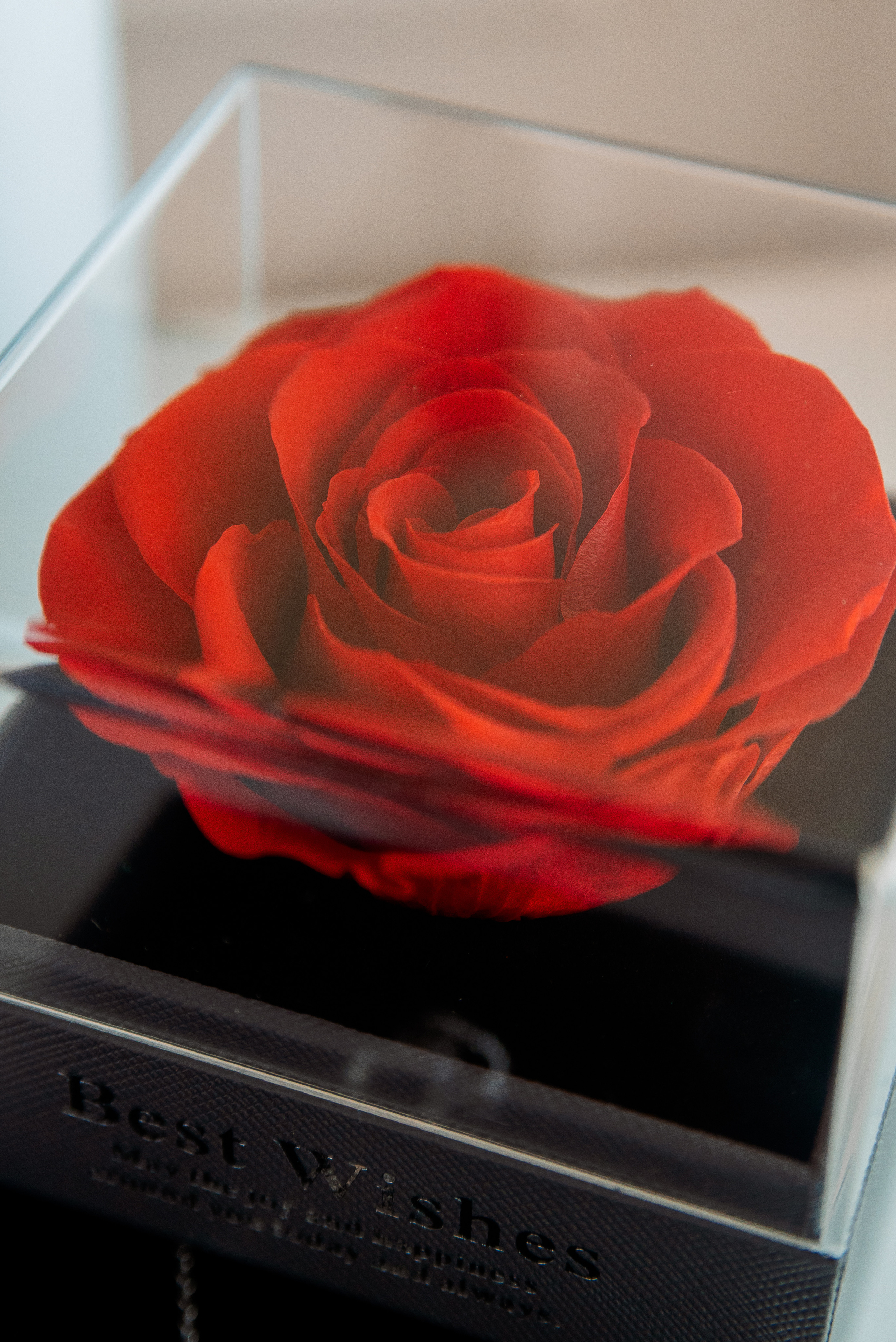 Маркетплейсы. Семейный и женский фотограф Лоо Краснодар Сочи Энем Татьяна Трибурт