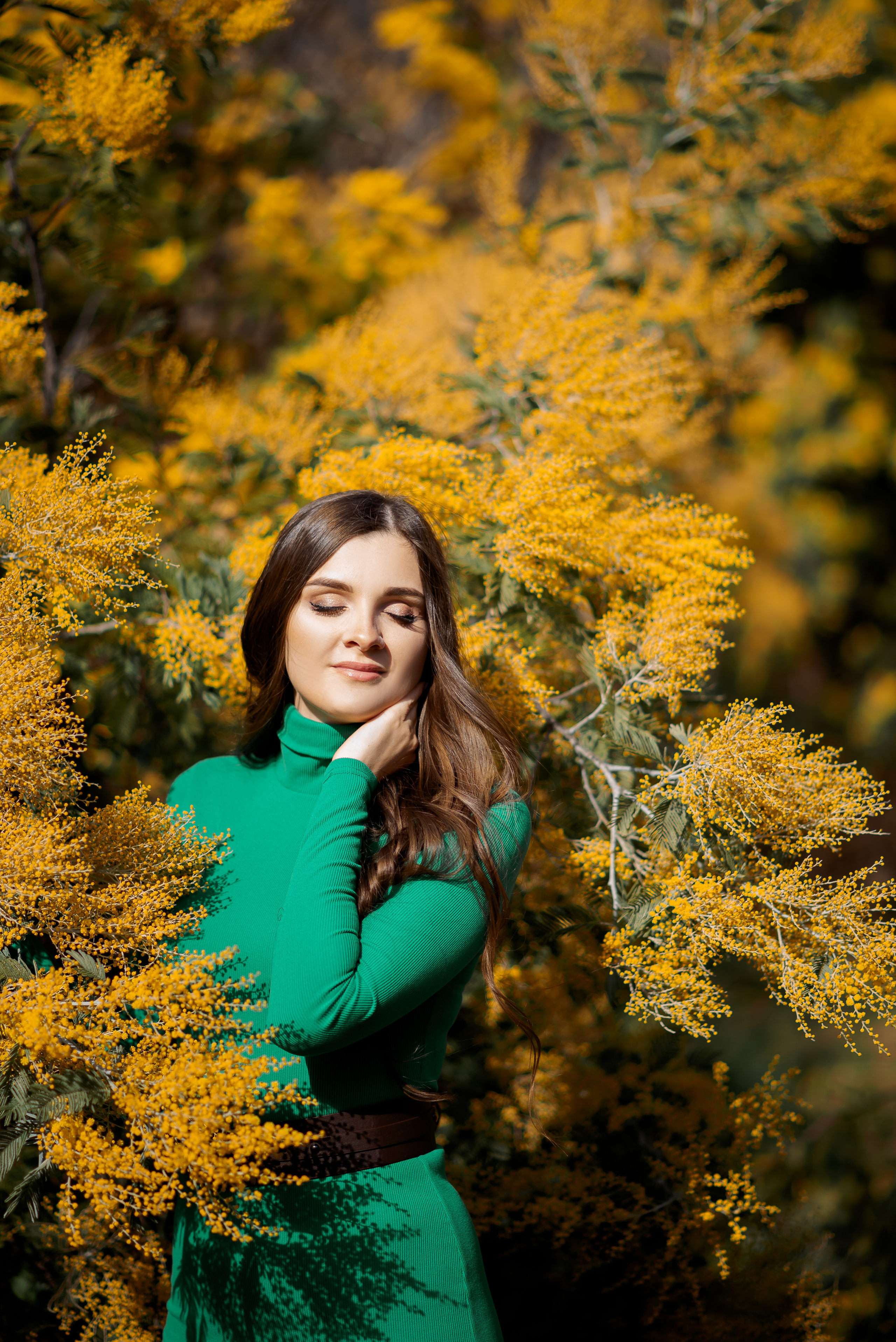 Мимоза. Семейный и женский фотограф Лоо Краснодар Сочи Энем Татьяна Трибурт