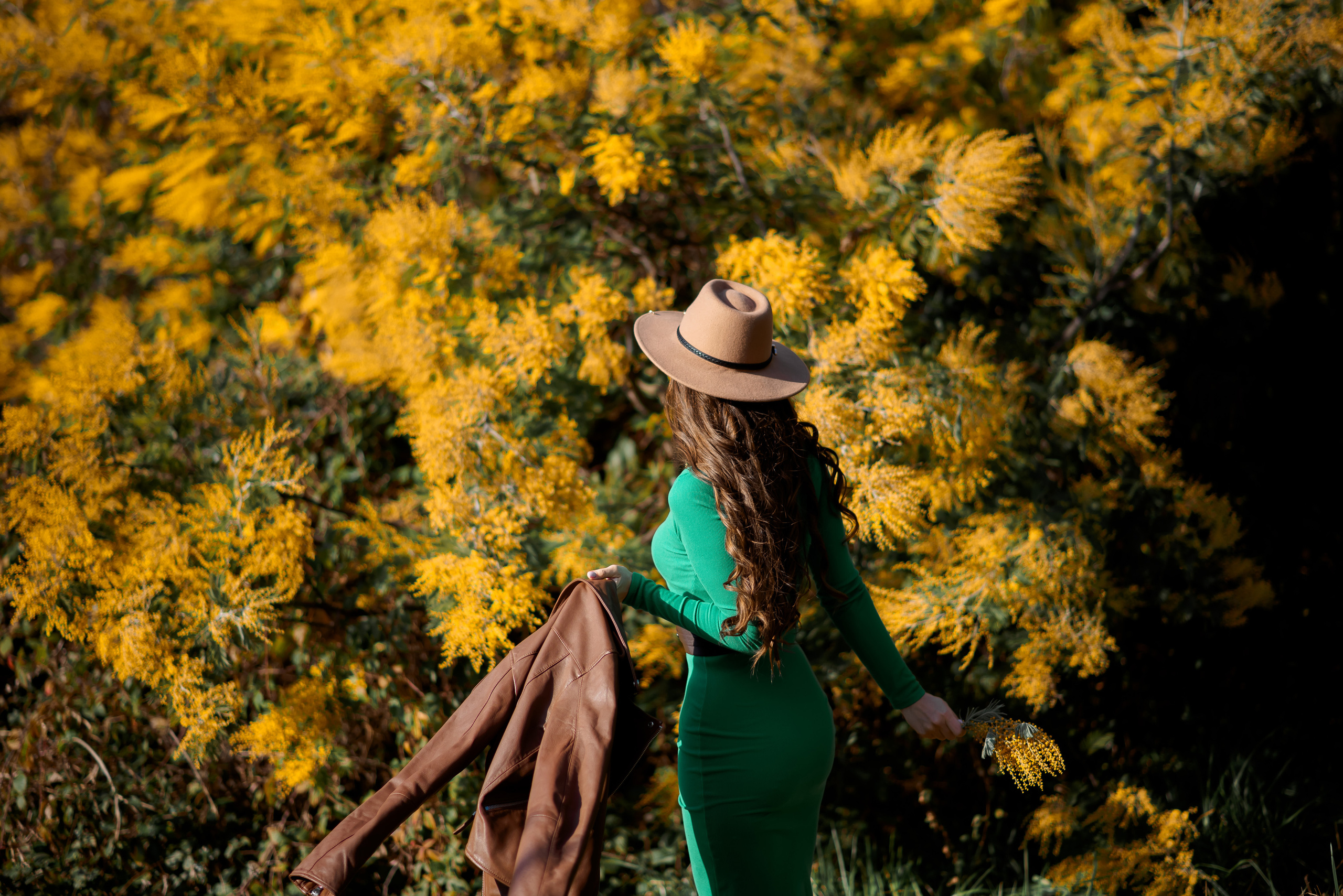 Мимоза. Семейный и женский фотограф Лоо Краснодар Сочи Энем Татьяна Трибурт