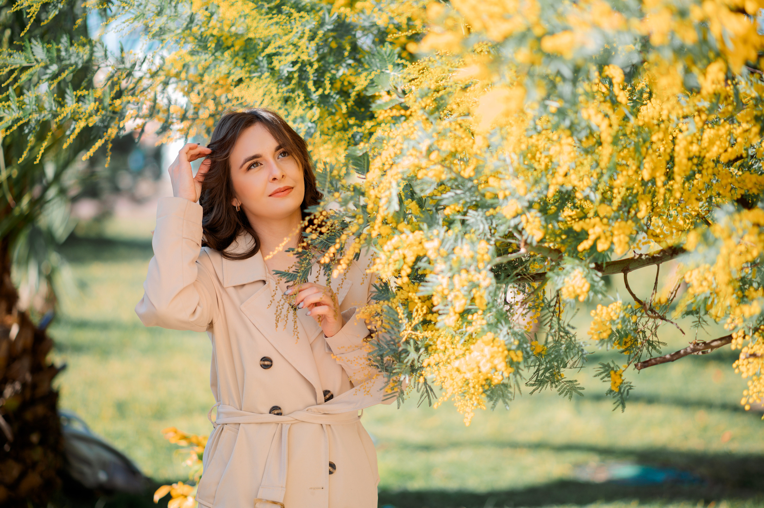 Мимоза. Семейный и женский фотограф Лоо Краснодар Сочи Энем Татьяна Трибурт