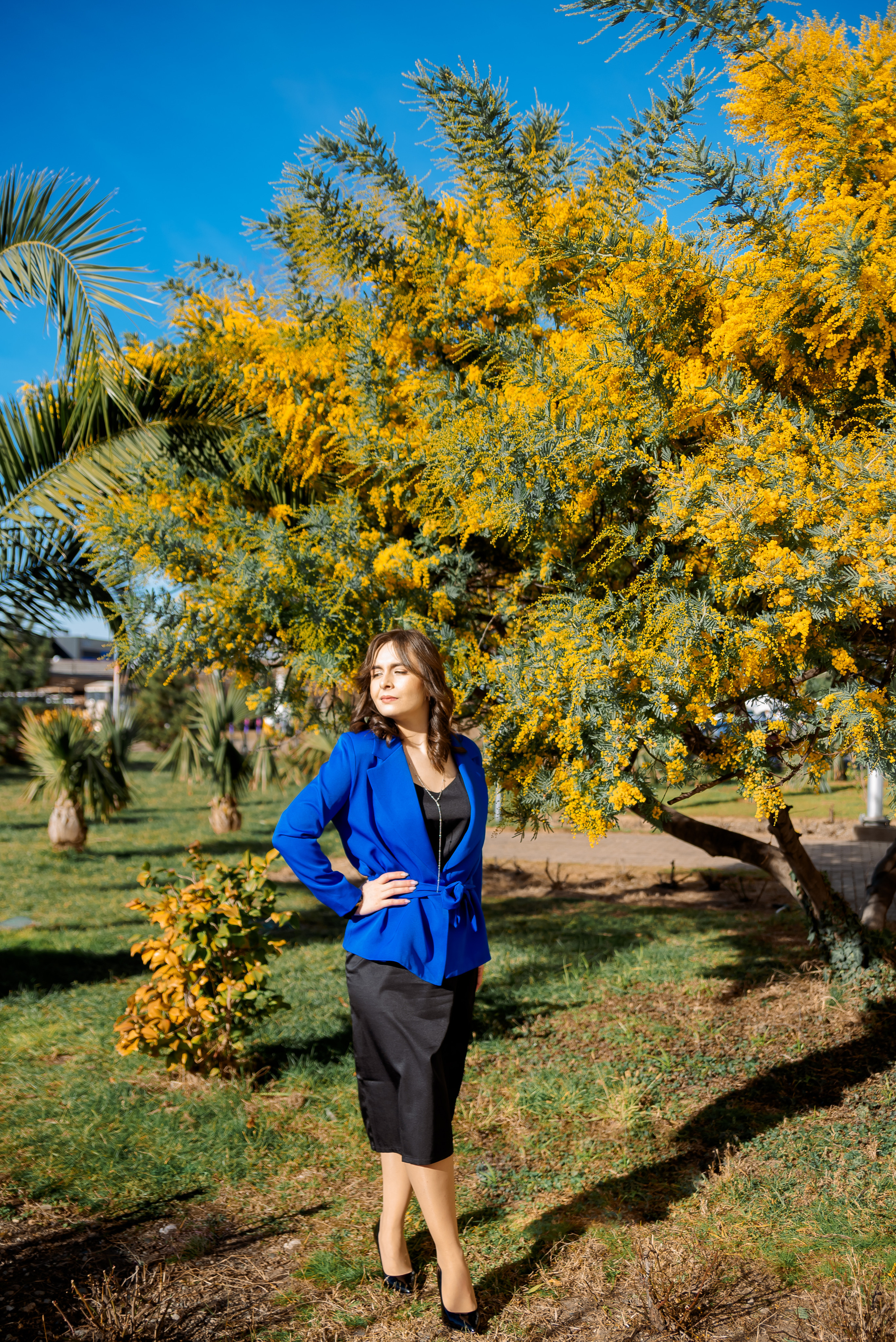 Мимоза. Семейный и женский фотограф Лоо Краснодар Сочи Энем Татьяна Трибурт