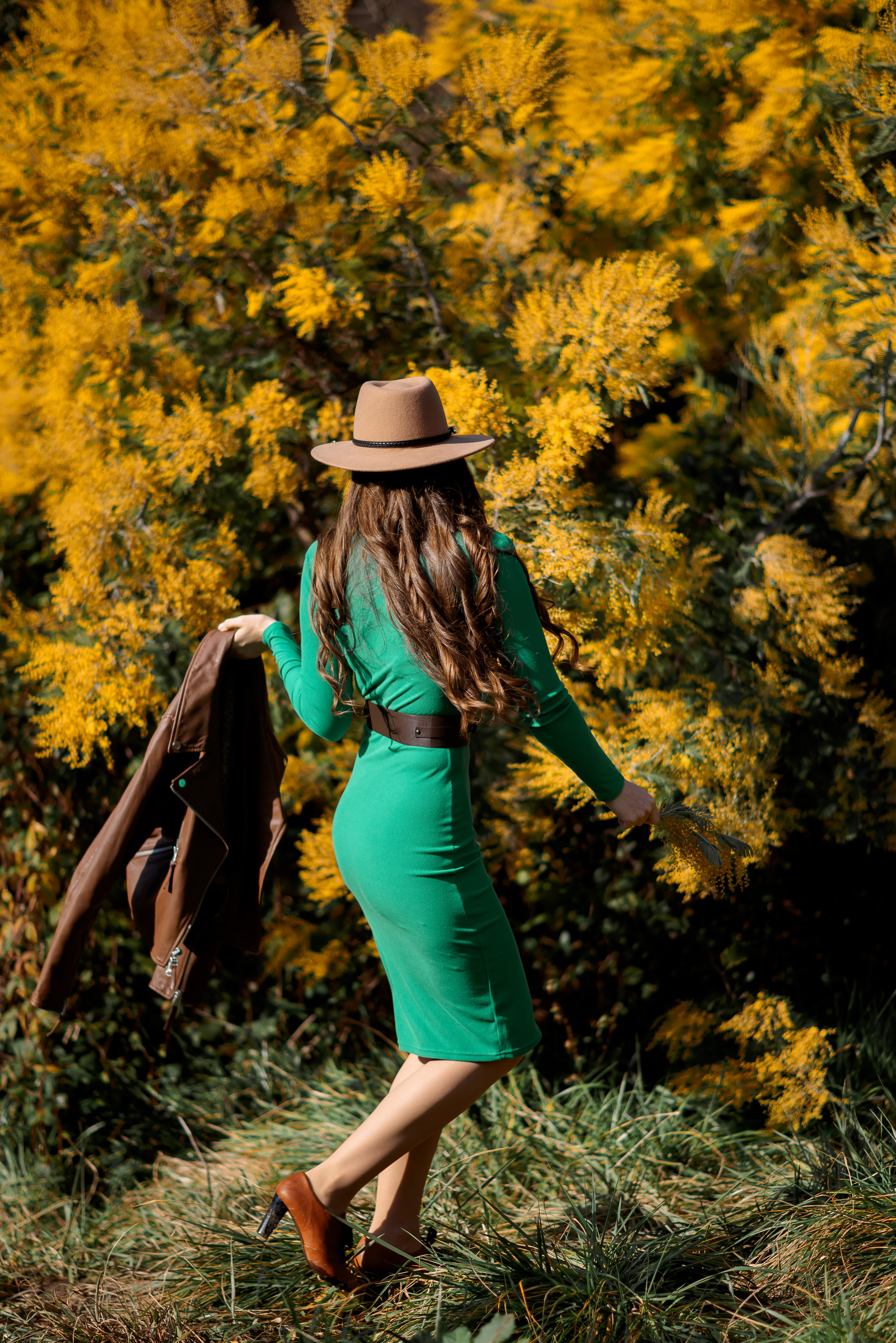 Мимоза. Семейный и женский фотограф Лоо Краснодар Сочи Энем Татьяна Трибурт
