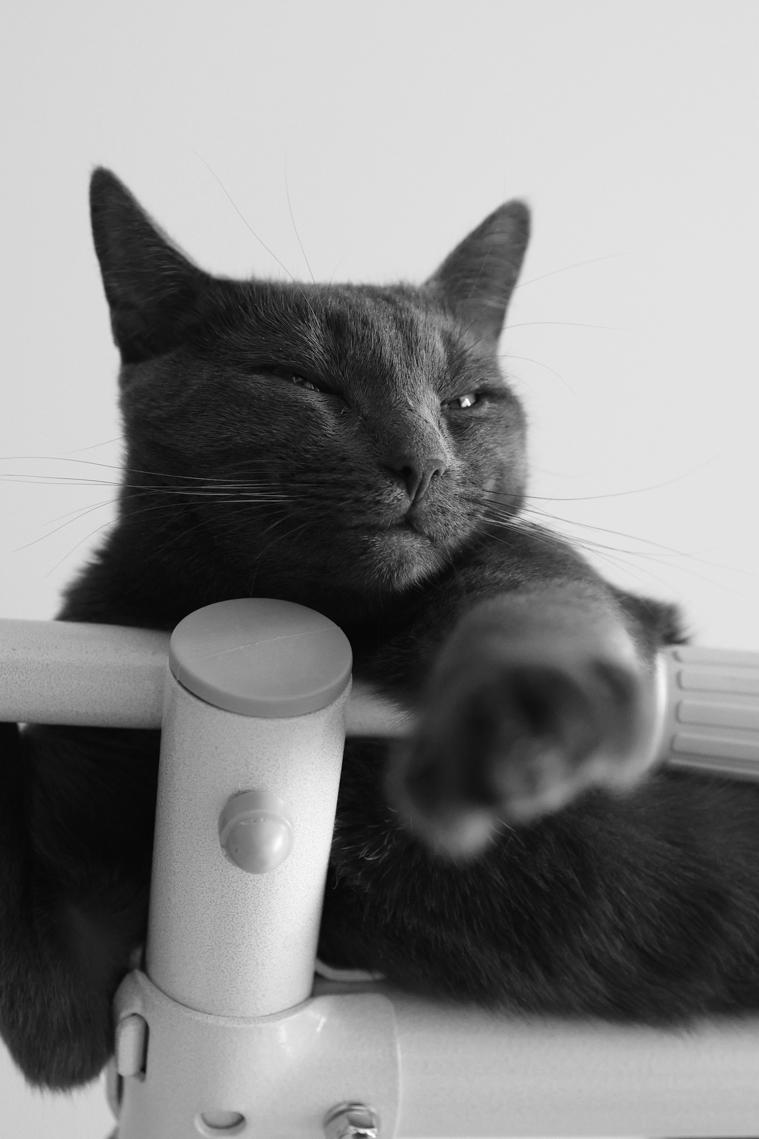 Мобильное фото. Фотограф в Москве Айгуль Евграфова