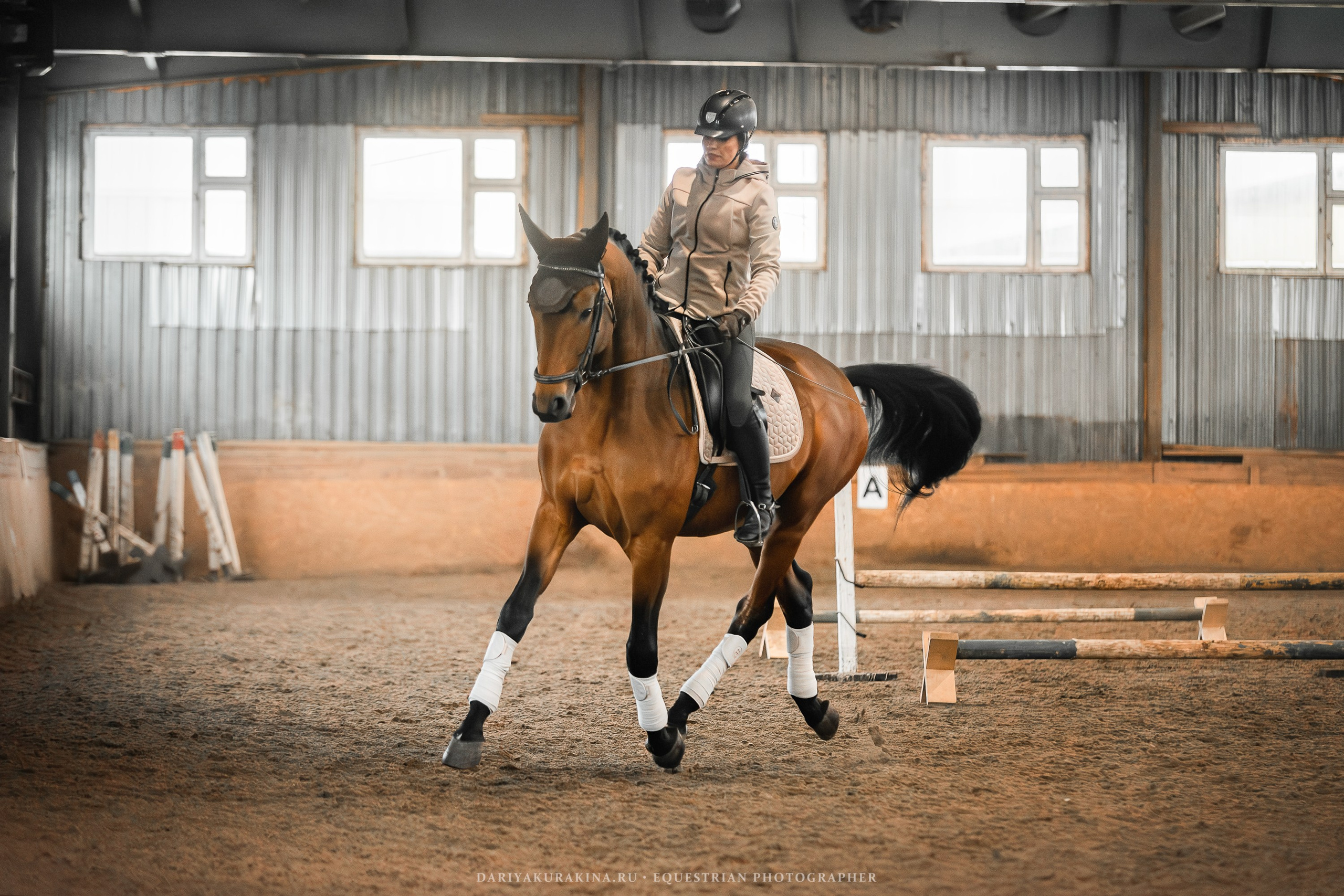 «ЮНА» Тренировка. Конный фотограф Куракина Дарья • Фотосессии с лошадьми
