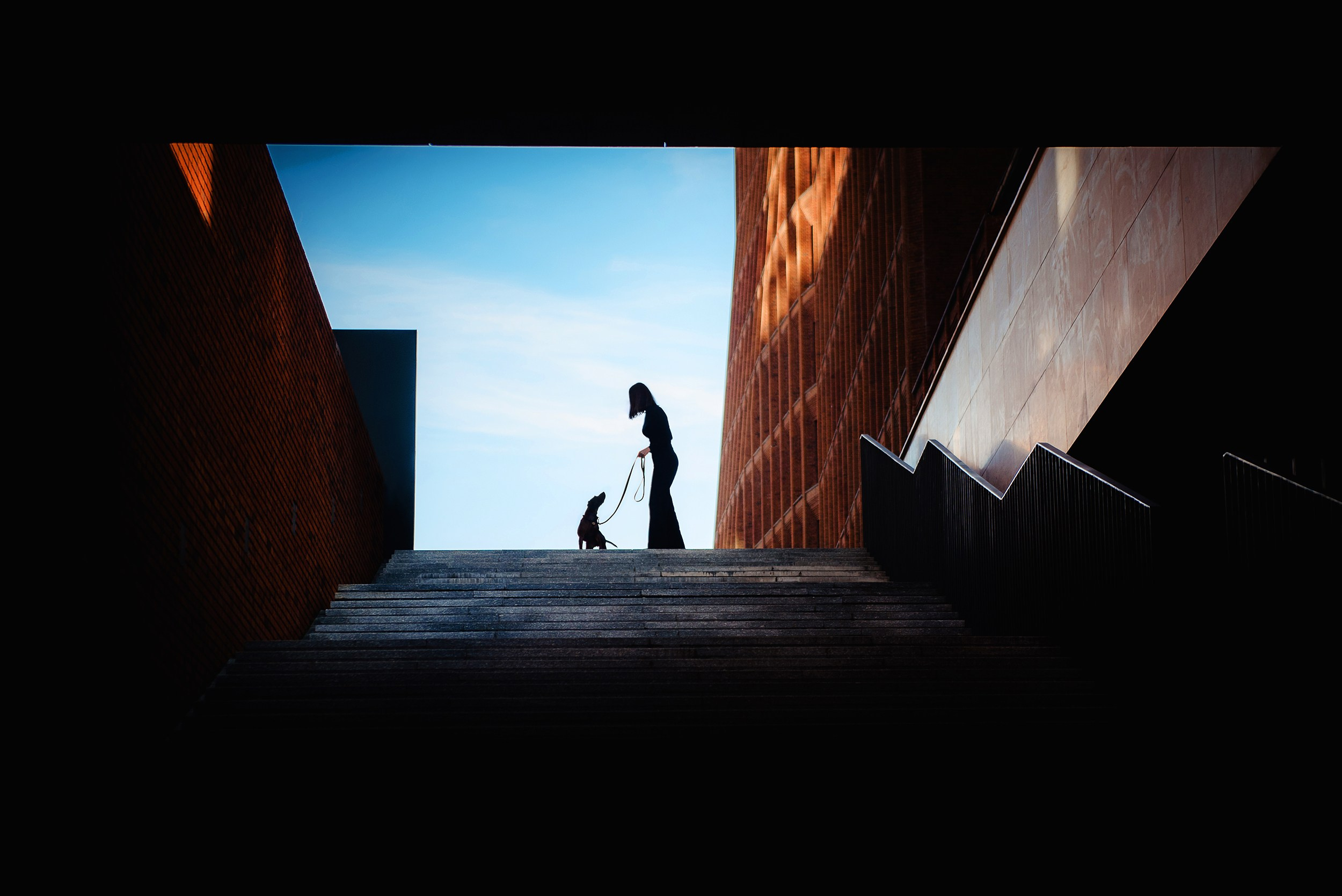 Катя, Дима и Дакота. Городская Love Story. Семейный Фотограф в Москве Ирина Хохлова