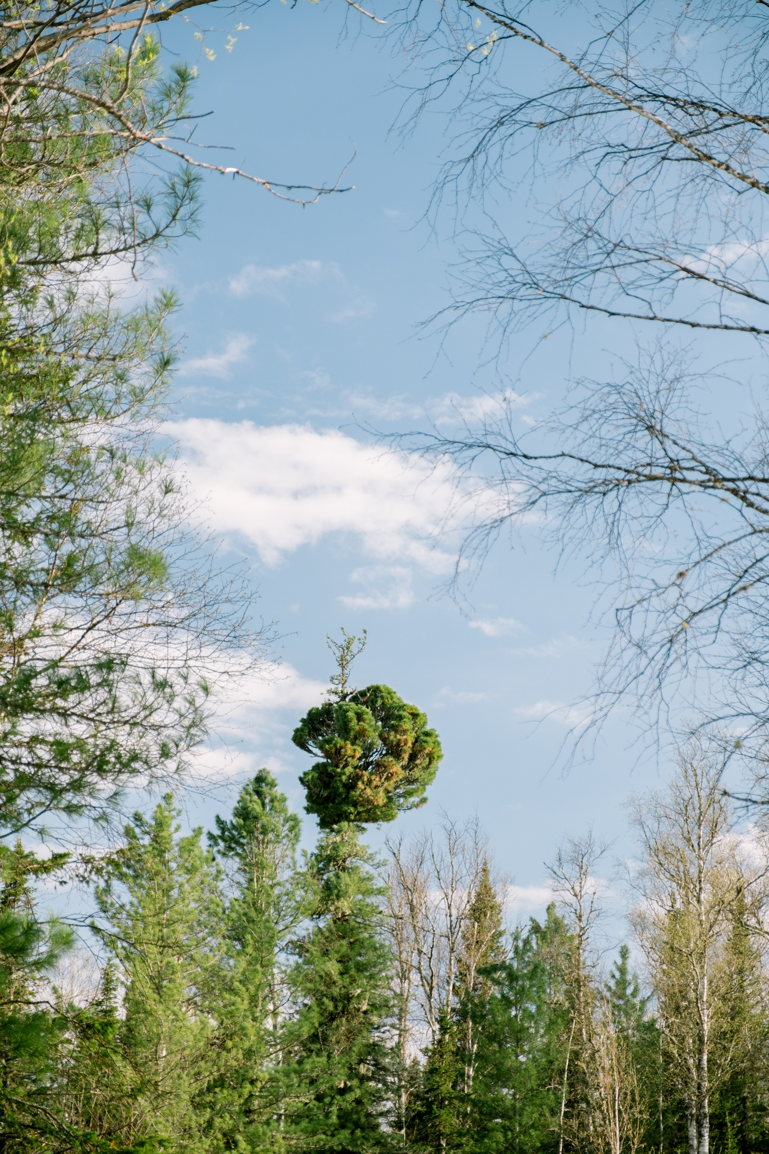 Горное озеро. Свадебный Видеограф Фотограф в Сочи