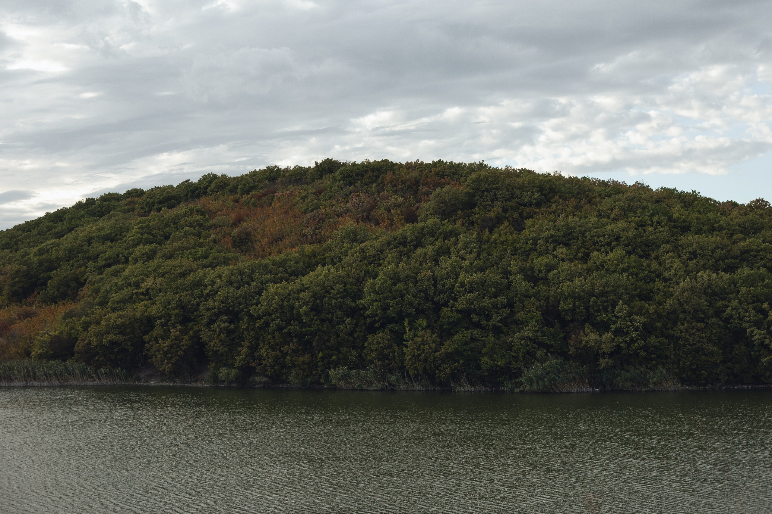 Дмитрий и Алиса. Свадебный и портретный фотограф в Ростове на Дону Андо Саргсян
