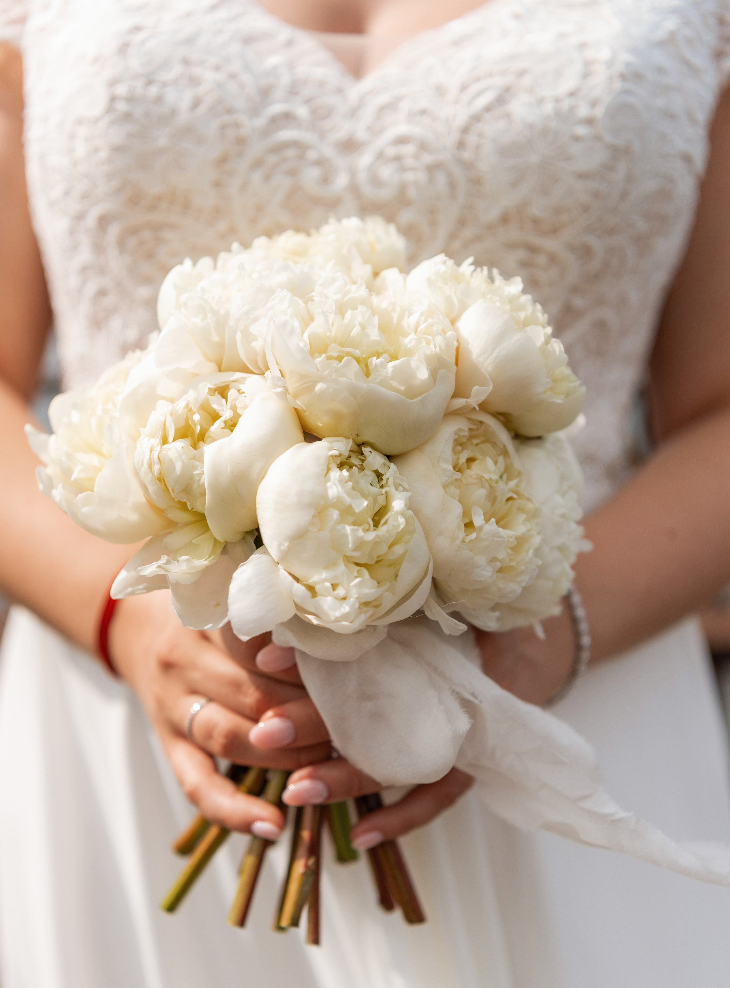 Владимир и Ольга