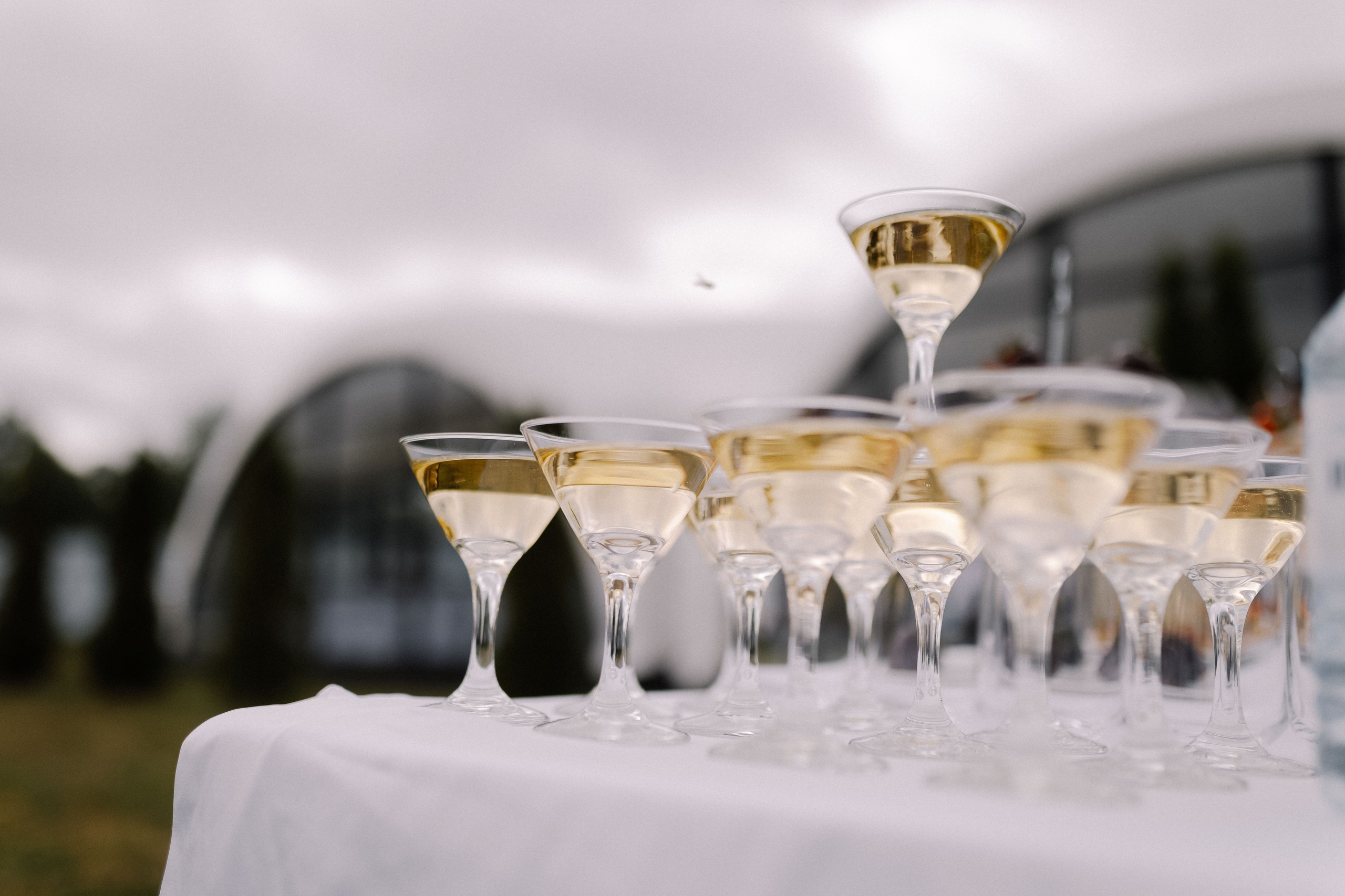 Даша и Дима. Фотограф Светлана Голицына