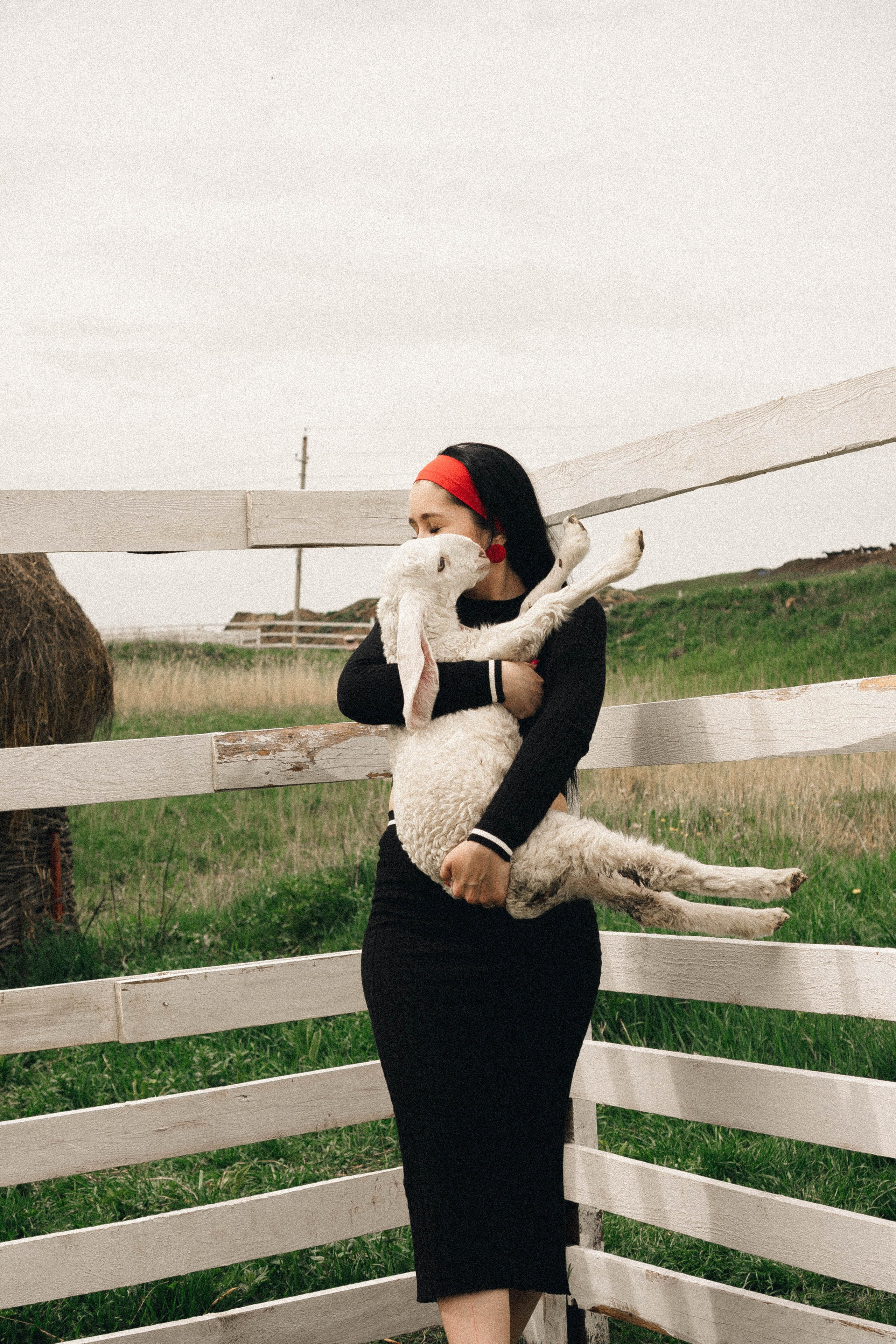 Ферма Альпак. Профессиональный фотограф, Санкт-Петербург — Виктория Богомолова