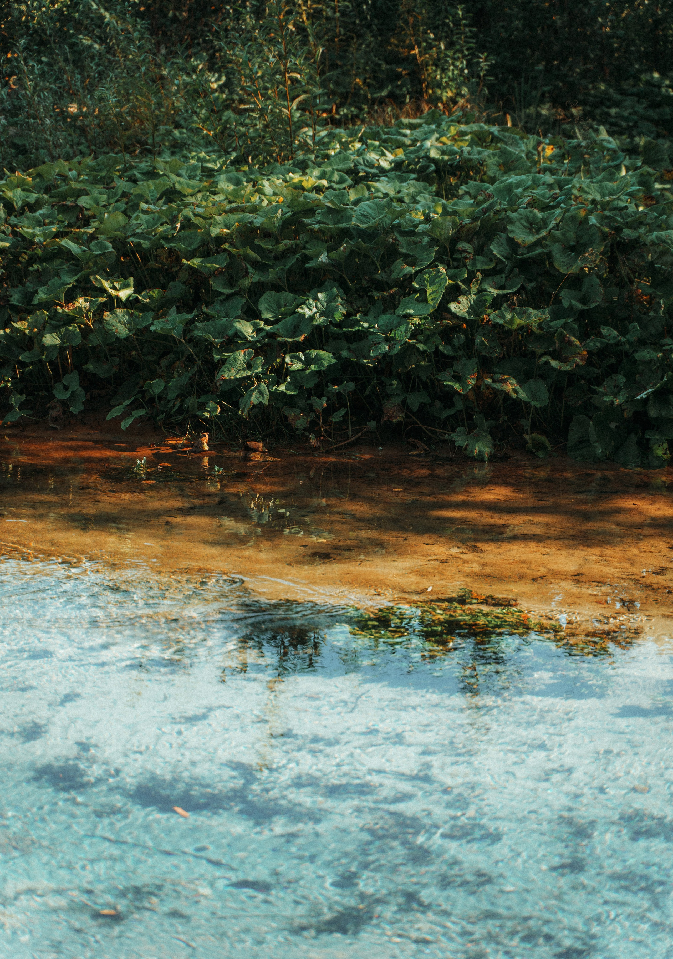 Good Friends Trip / команда локальных путешествий. Саша Копылов, фотограф в Казани