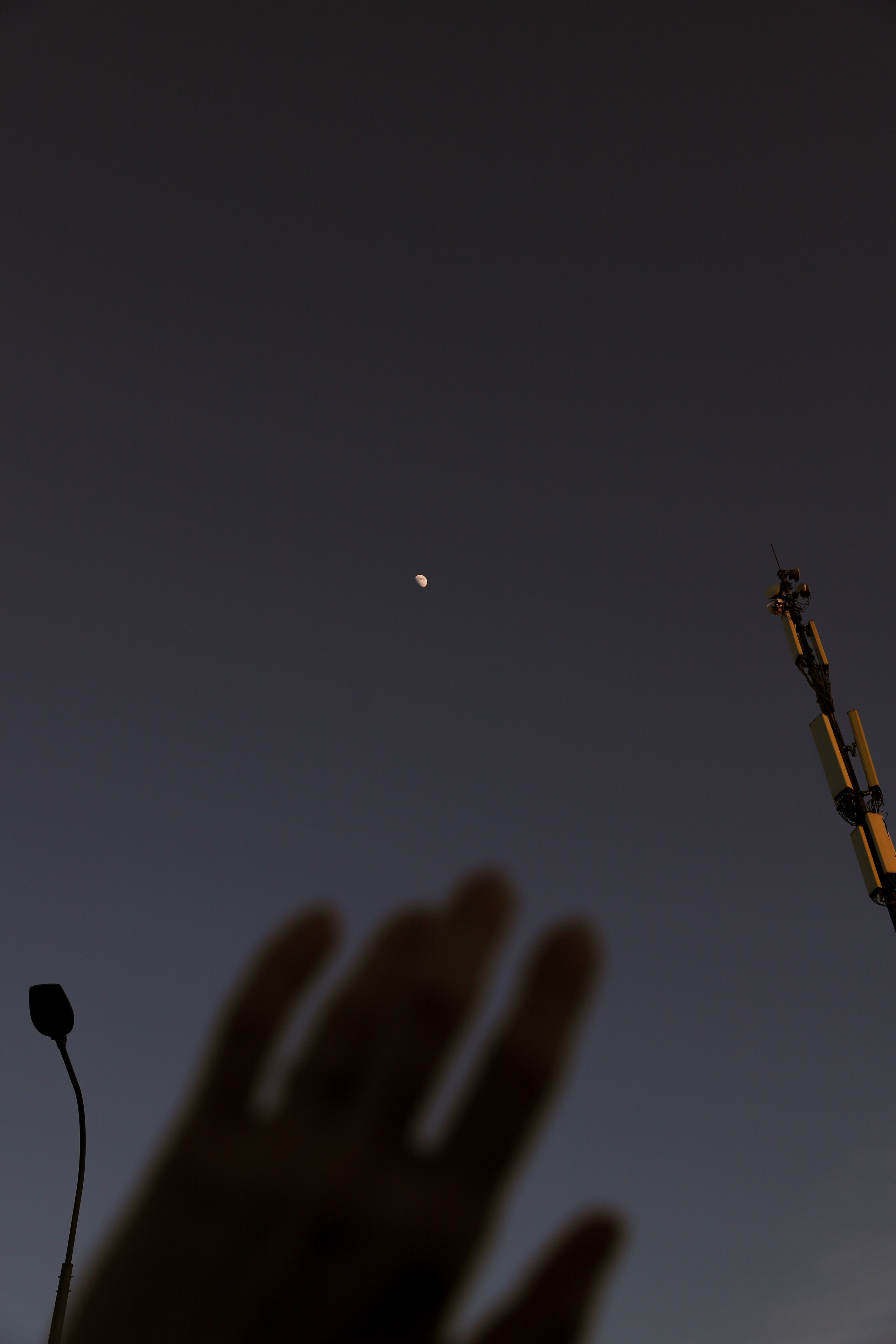 /все что вокруг. Kristina Rashkovskaya