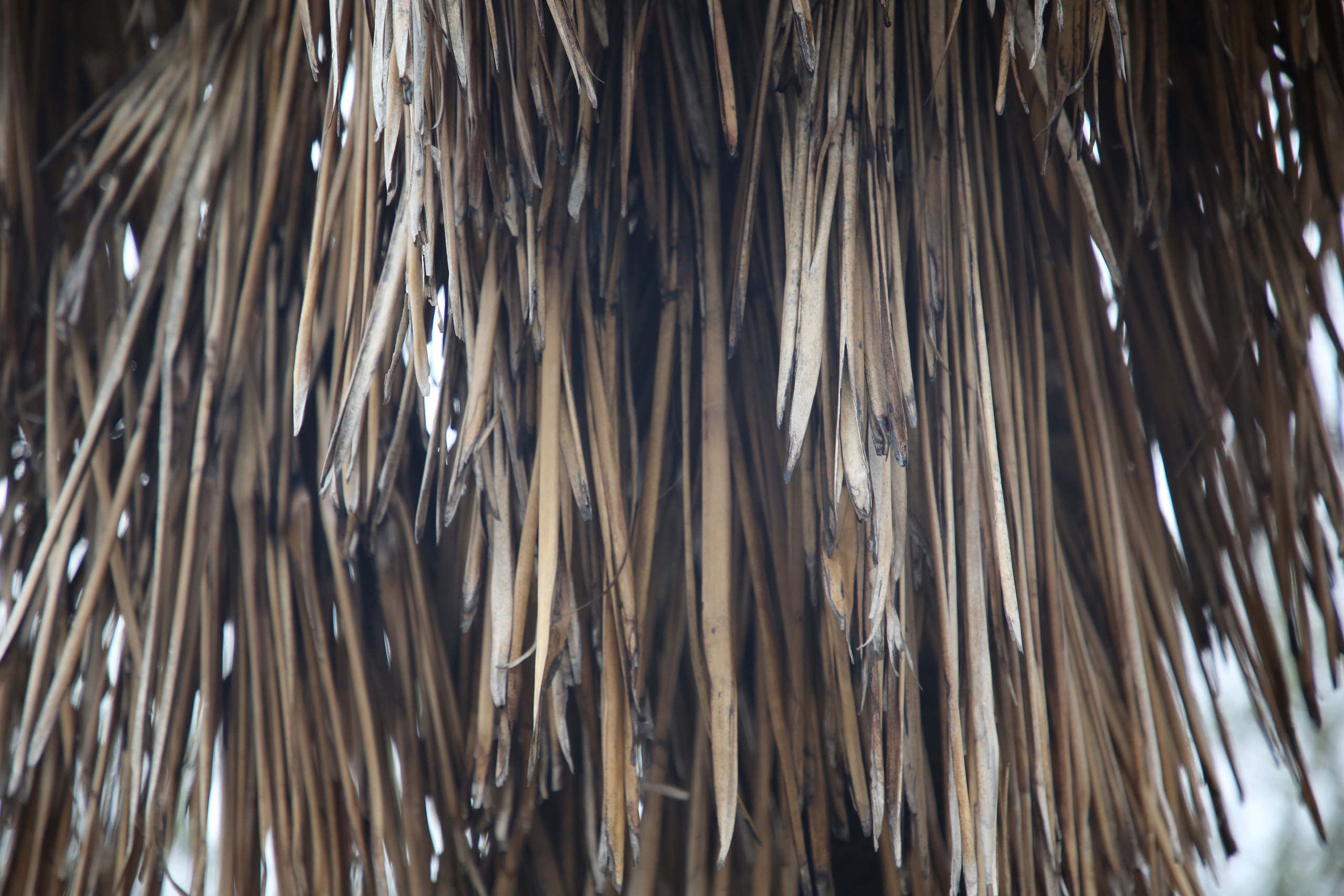 Geneva, Switzerland. Andrey Filippov Photographer