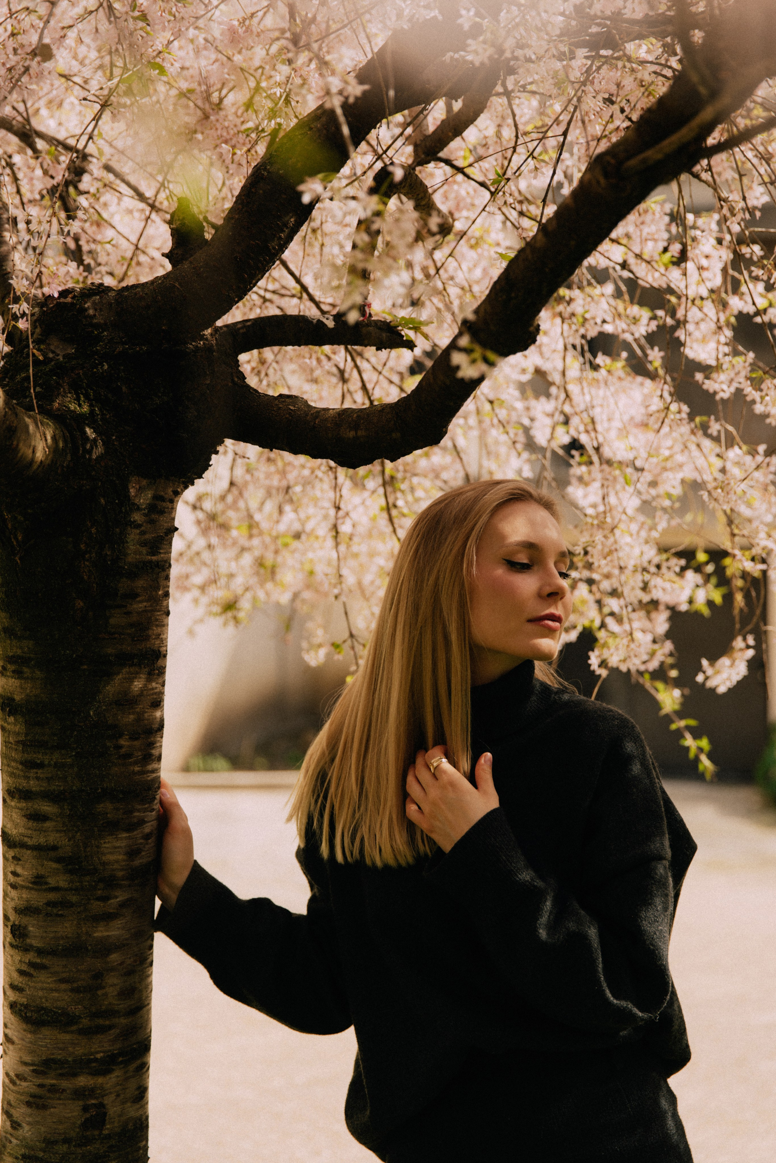 Секретный сад. Фотограф в Париже