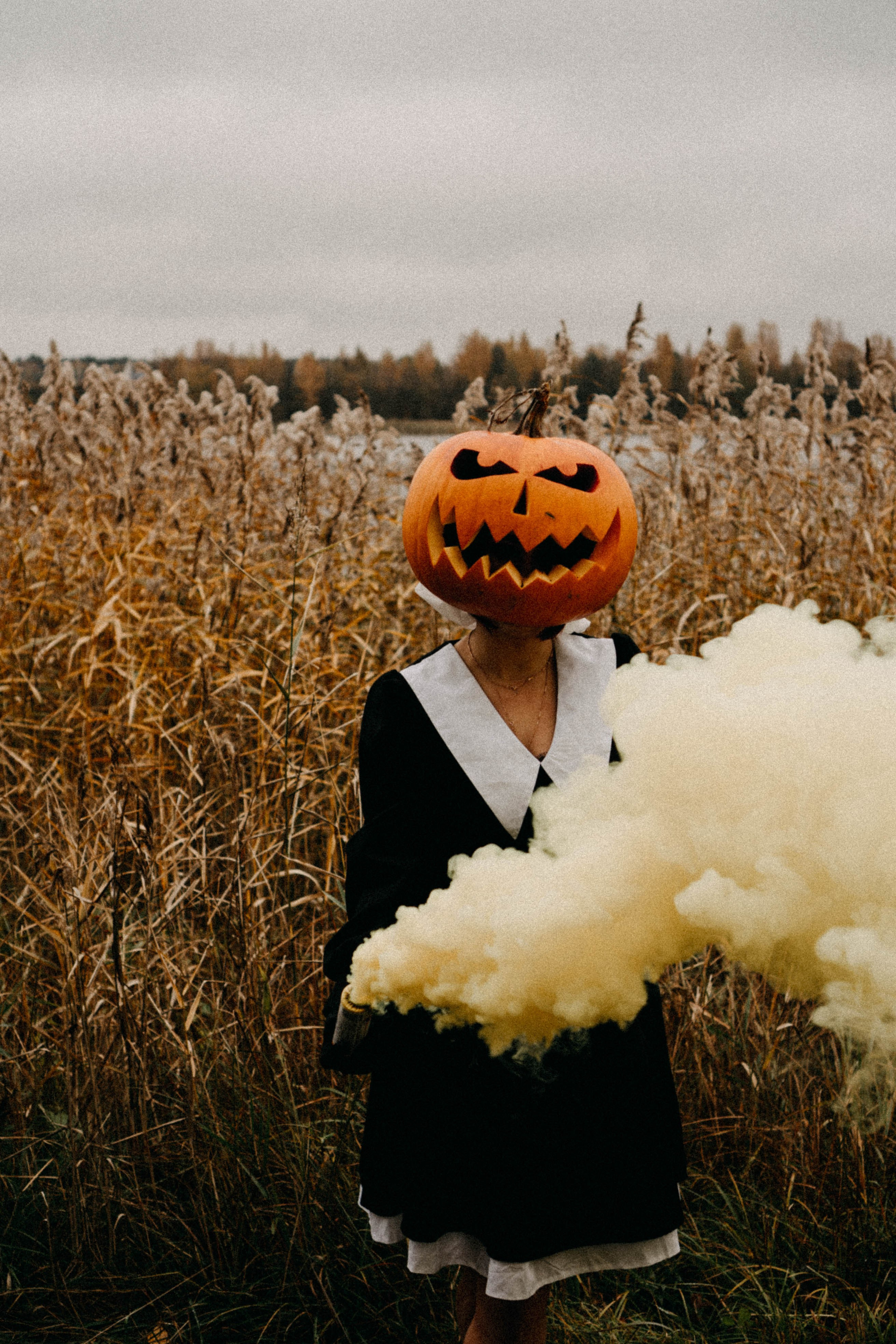 Осеняя. Профессиональный фотограф, Санкт-Петербург — Виктория Богомолова