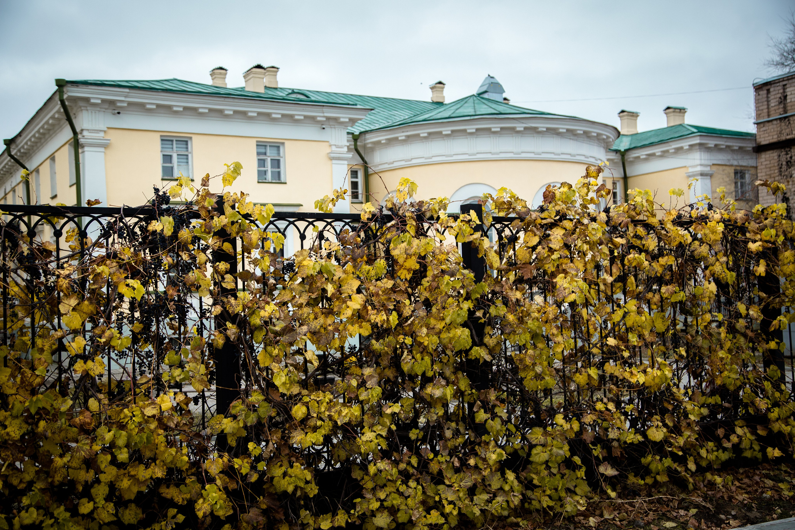 Старый Оренбург. Ваш фотограф в Оренбурге Рощупкина Екатерина