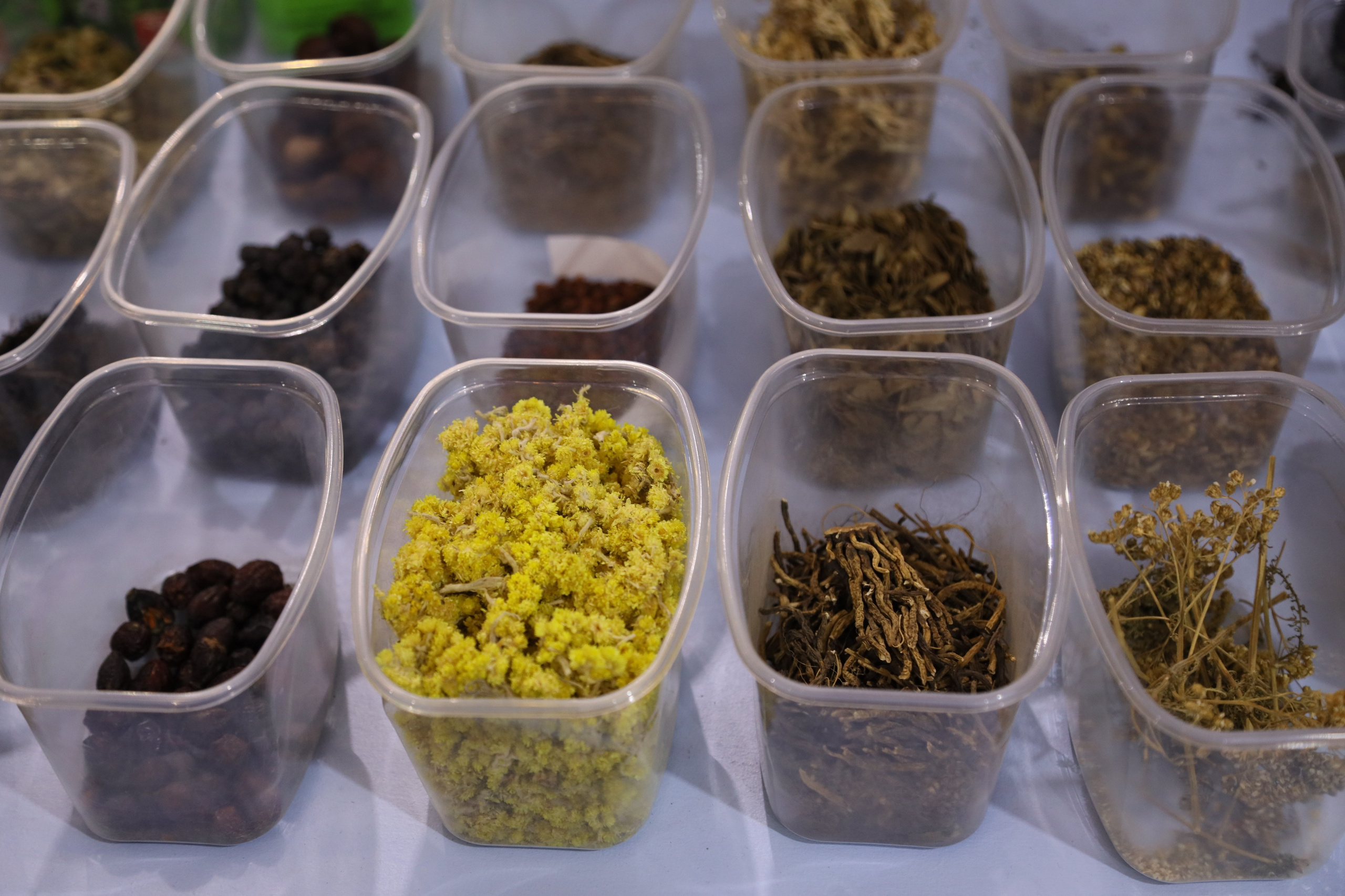 Фестиваль «Наука 0+». Фотосессии и репортаж — Фотограф в Москве — Рина Серёгина