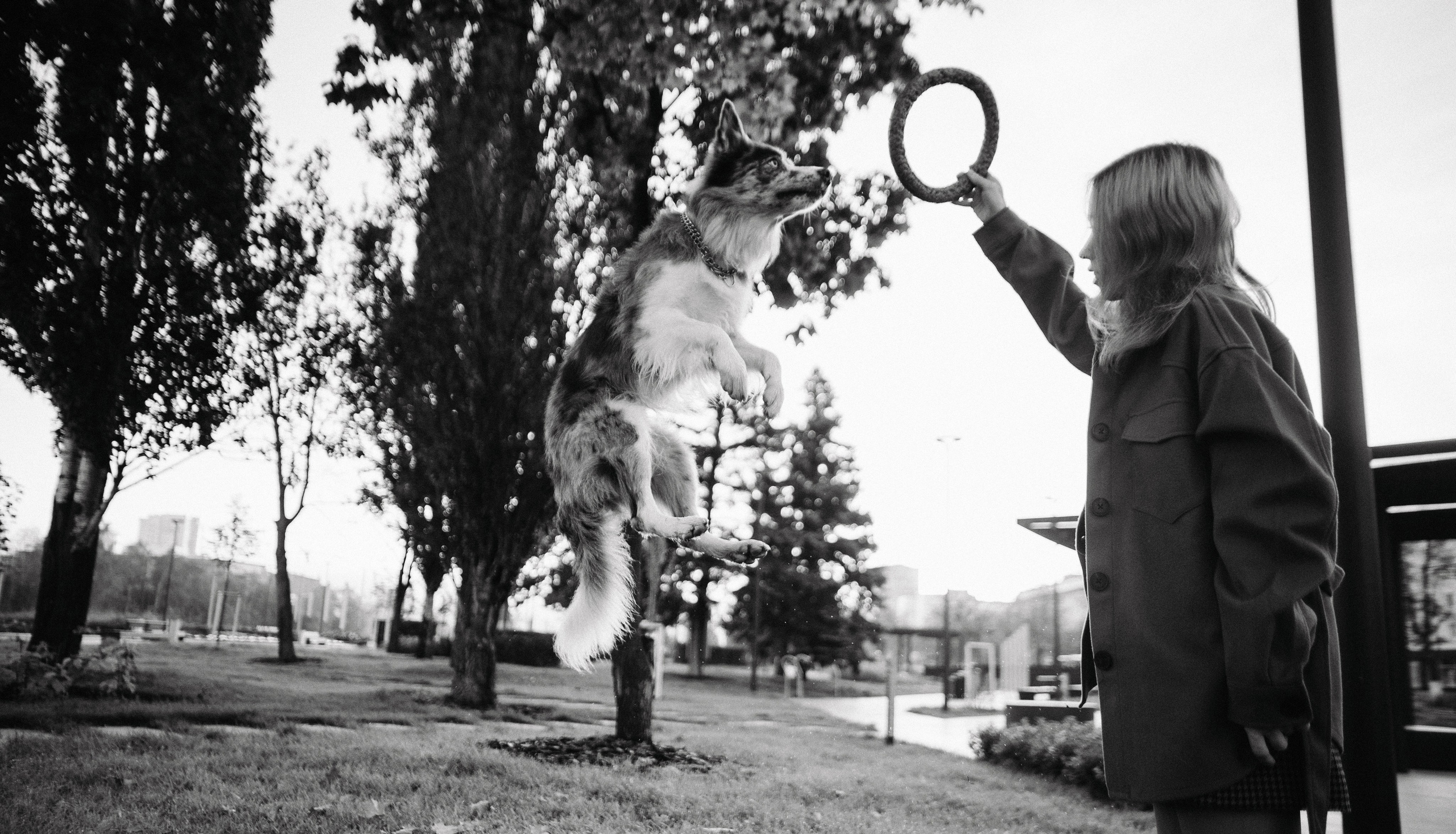 Диана и Робин. Фотограф-анималист Богданова Полина