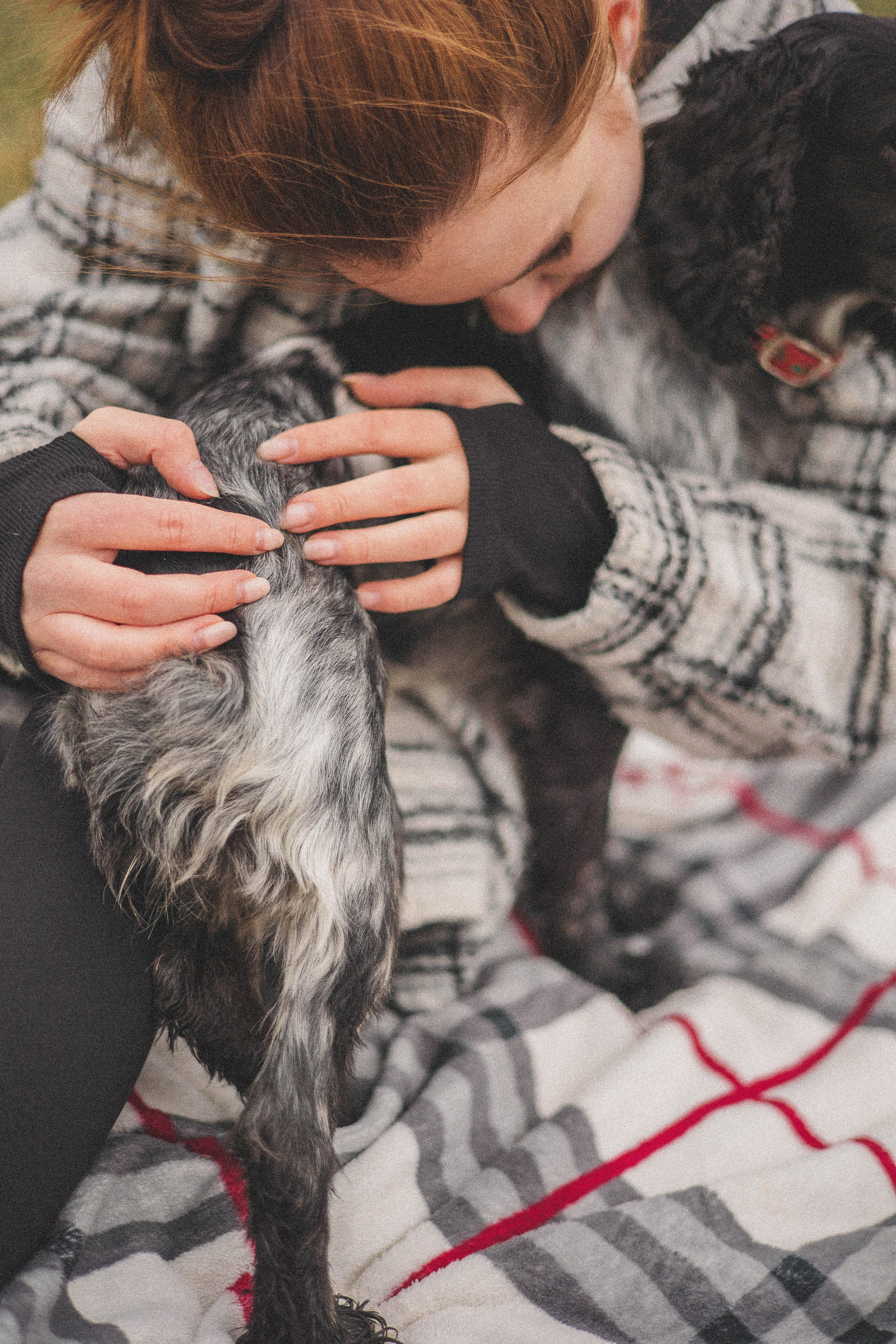 Вика и Ава. Фотограф-анималист Богданова Полина