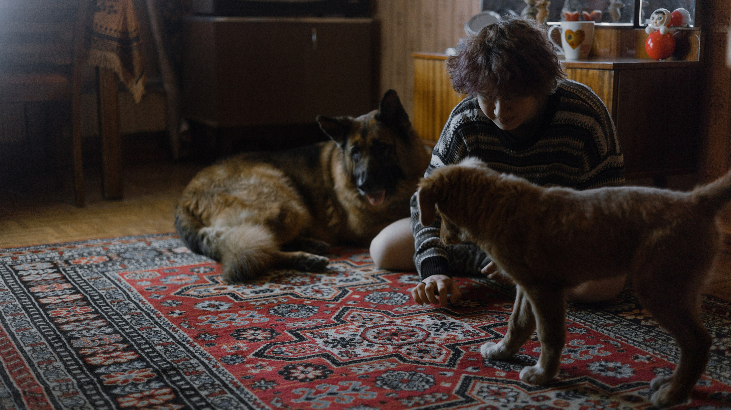 Лера, Реджи и Ральф. Фотограф-анималист Богданова Полина