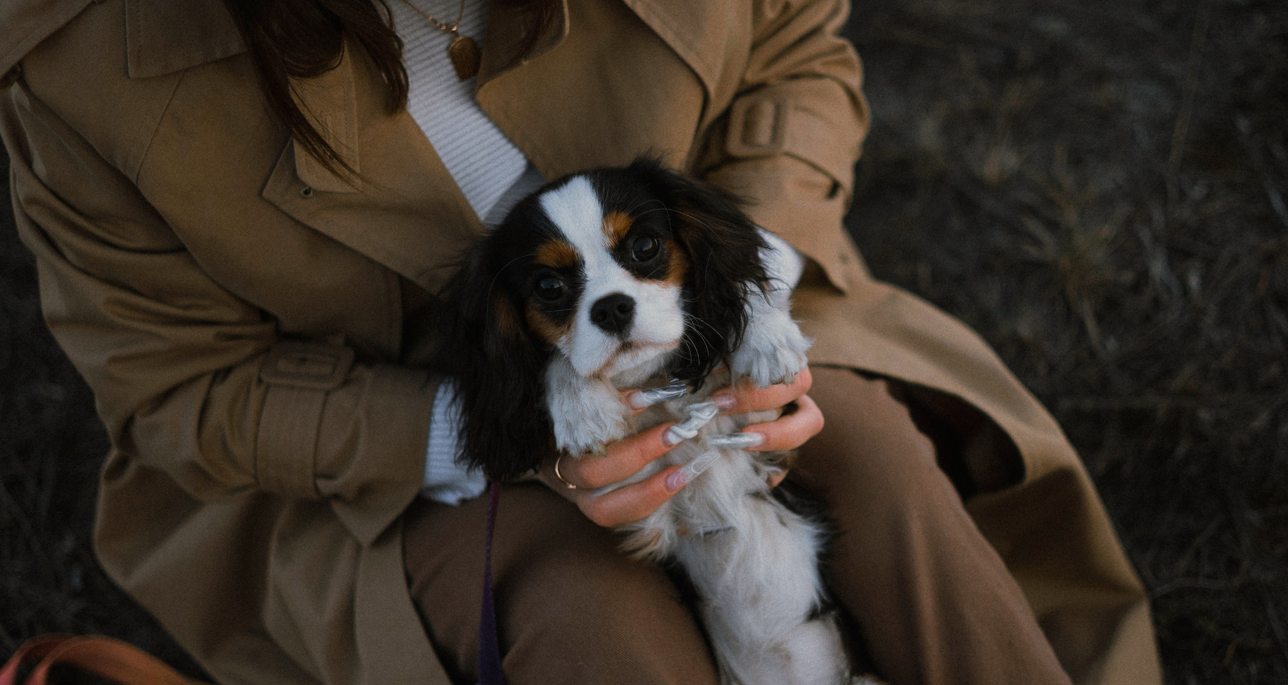 Ангелина и Йен. Фотограф-анималист Богданова Полина