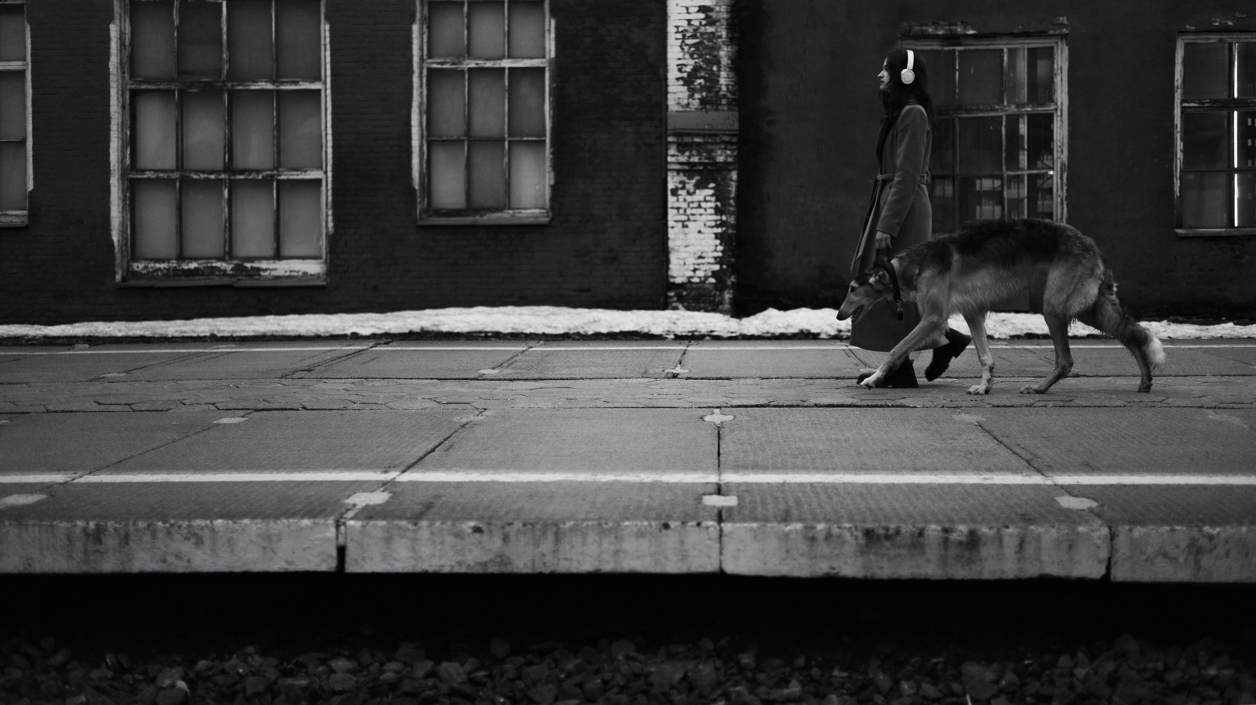 Алёна и Леви. Фотограф-анималист Богданова Полина