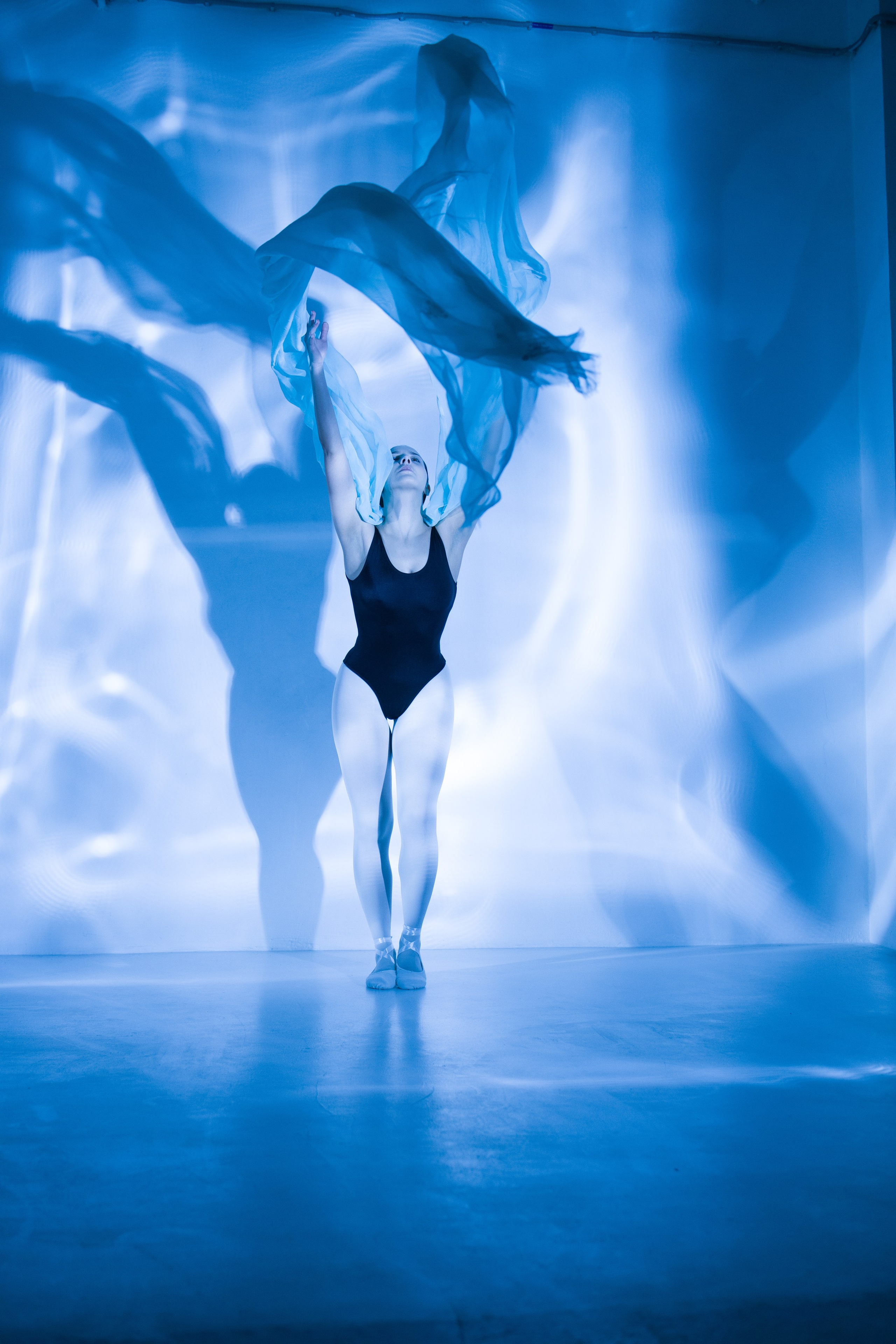 Лилия. Художественная фотография