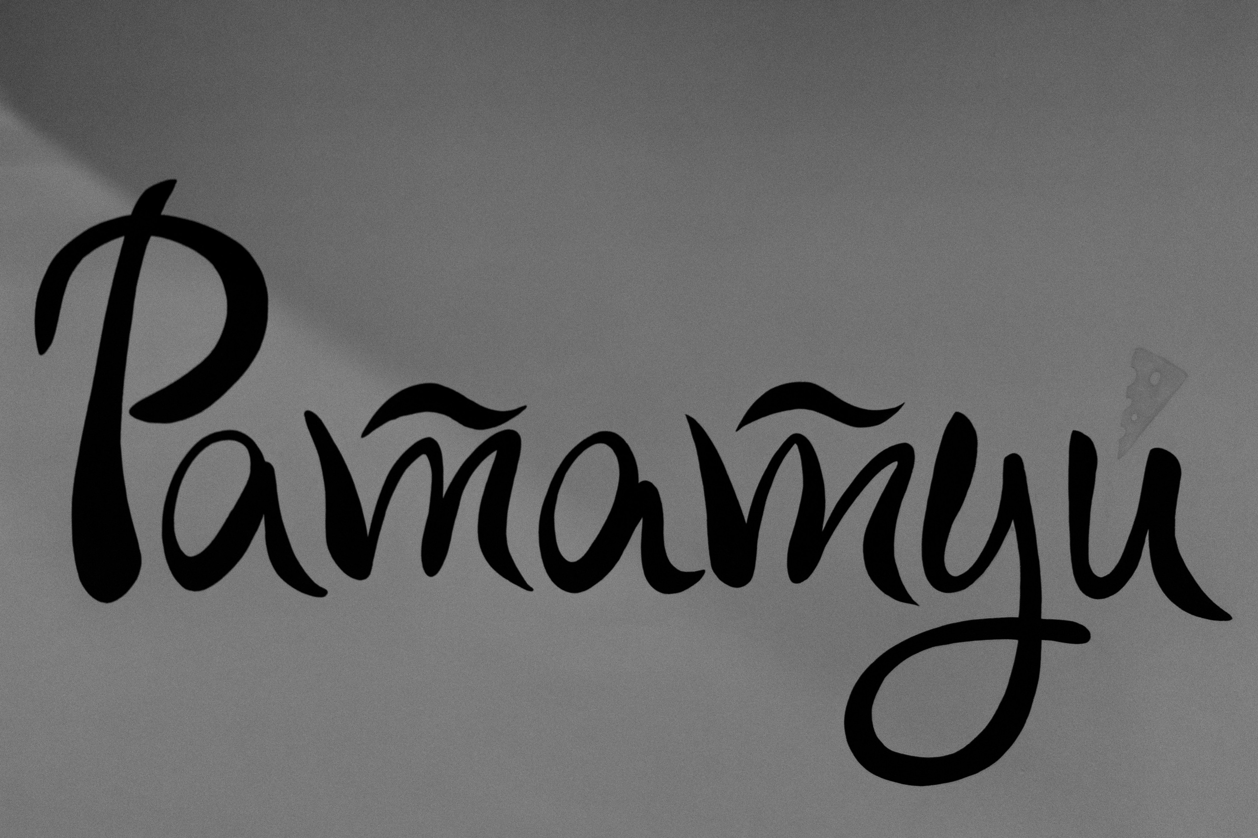 День рождения Ирины|Рататуй. Свадебный фотограф Челябинск Зиненко Виктория