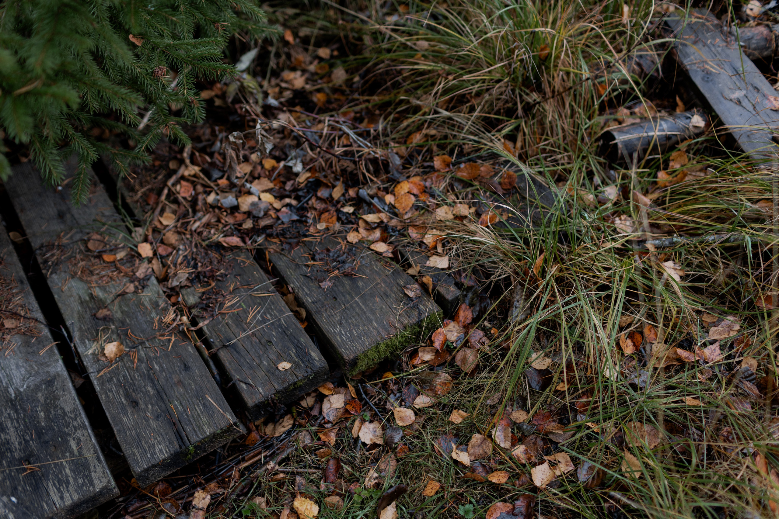 Съемка для глемпинг-отеля Хюгге Кэмп. Природа. Саша Кушнерова Фотографии. Sasha Kushnerova Photos