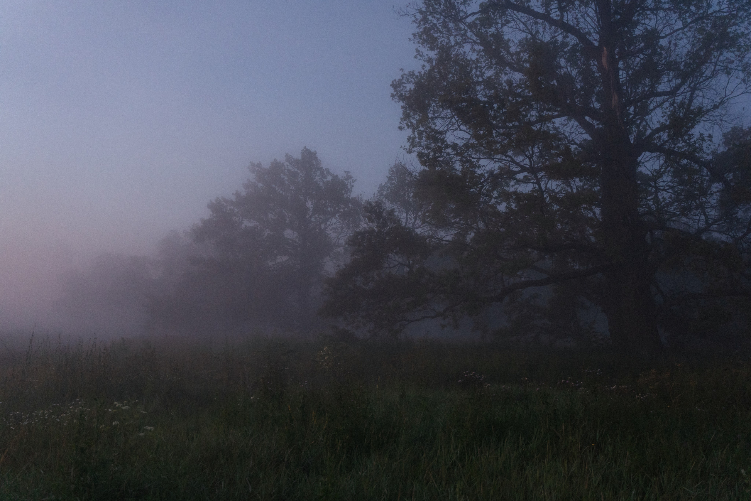 Палаточный форум для взрослых CAMPot 2024. Фотограф Надежда Погребняк | Рязань | Москва