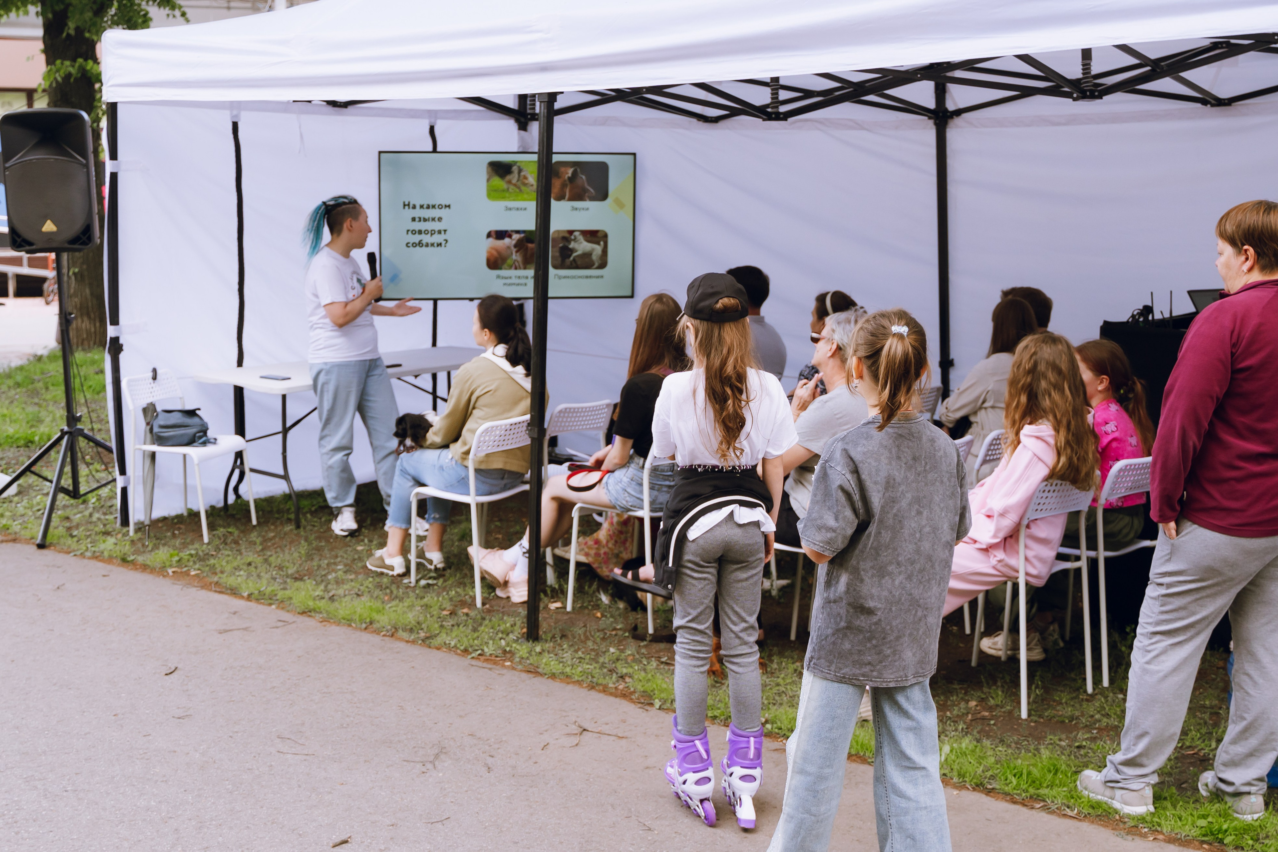 Площадка фестиваля «Мампус и его друзья» в Лесопарке 2025. Фотограф Надежда Погребняк | Рязань | Москва