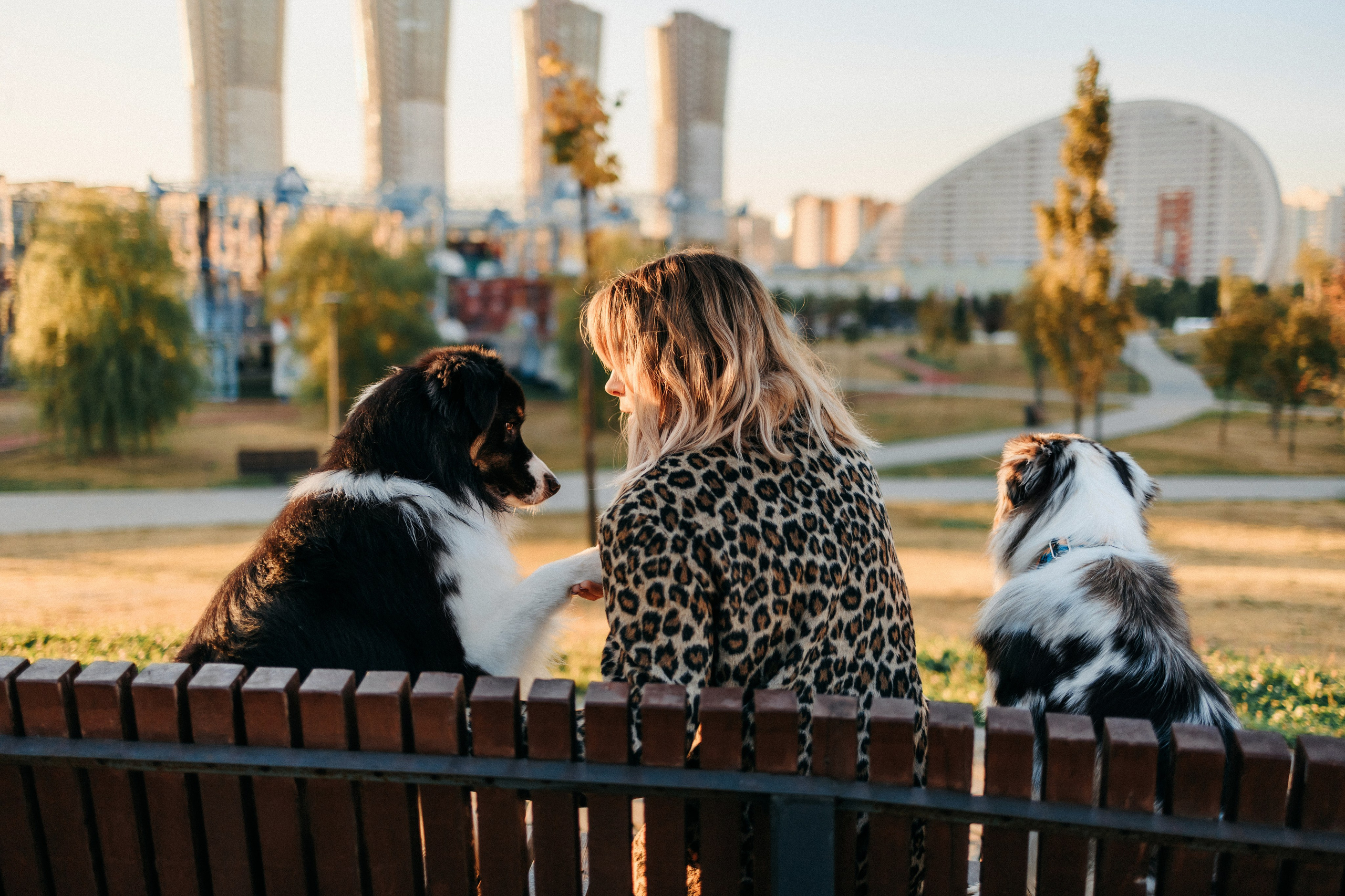Аня, Чарли и Ева. Фотограф-анималист Елена Радченко, Москва