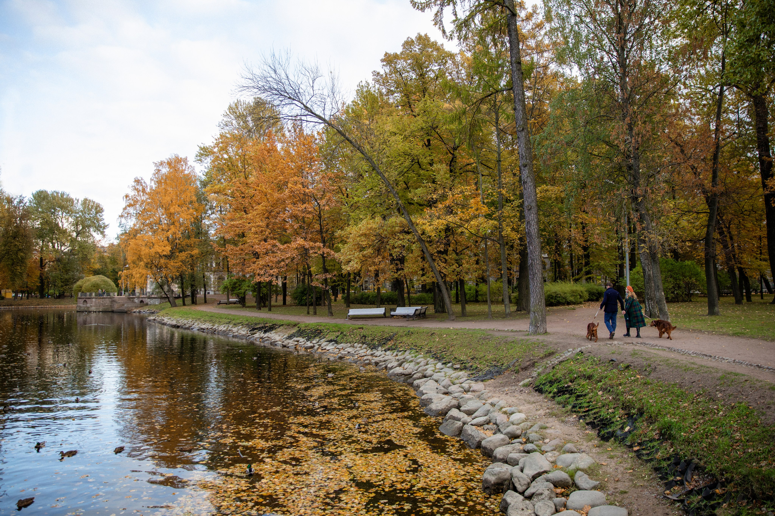 Валерия и Артур. Свадебный и портретный фотограф