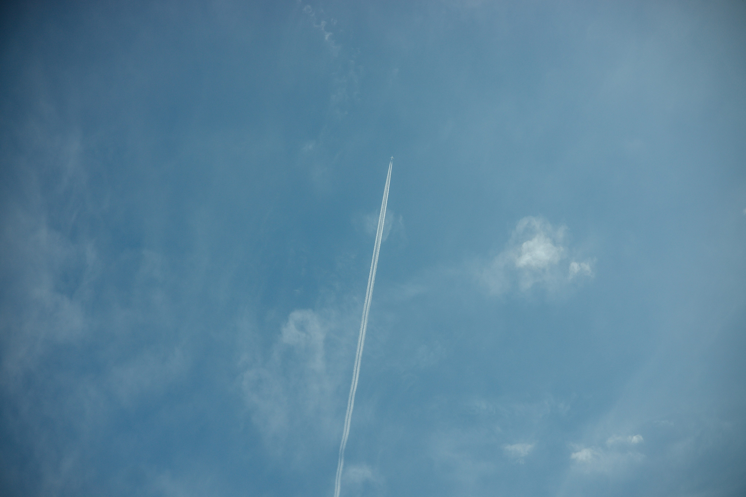 Саша & Настя. Полный день. Свадебный и семейный фотограф Пушкин Царское Село СПБ Питер Санкт-Петербург и Рязань Ольга Козлова