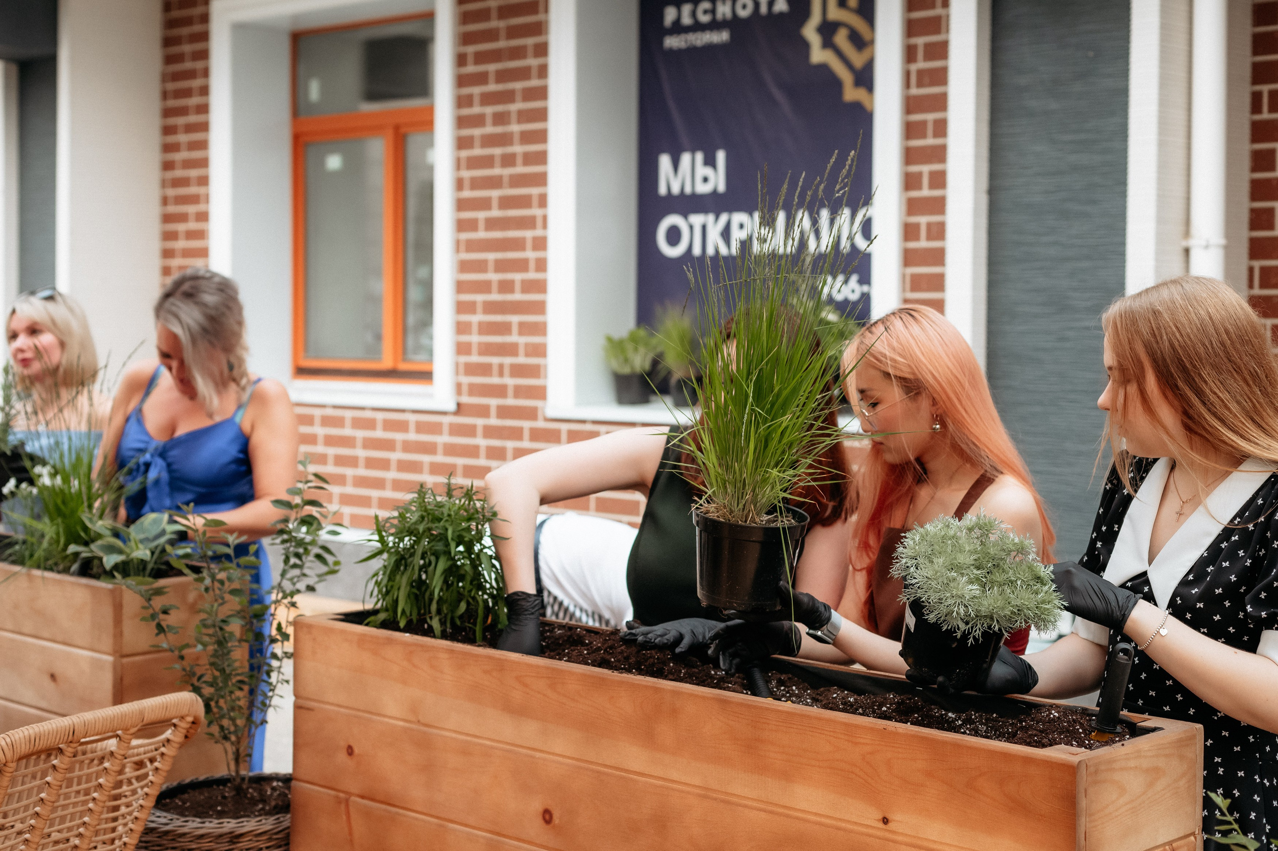 РЕСНОТА — ОТКРЫТИЕ ТЕРРАСЫ. СВОИ. ФОТООТЧЕТЫ-СОБЫТИЯ-МЕСТА