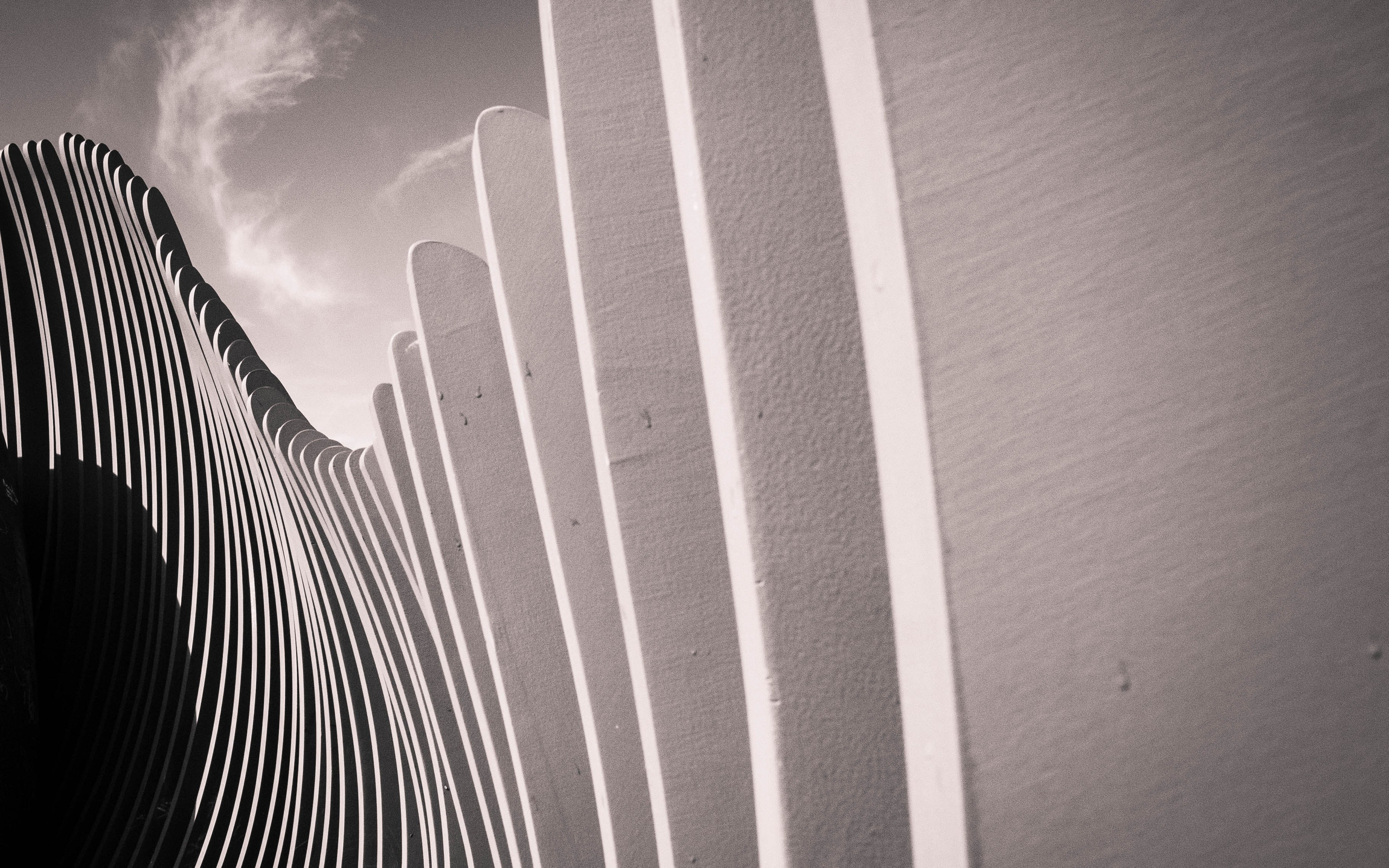 Ритмы карантина. Мари Линёк-Стельмах Фотохудожник Санкт-Петербург/Урал