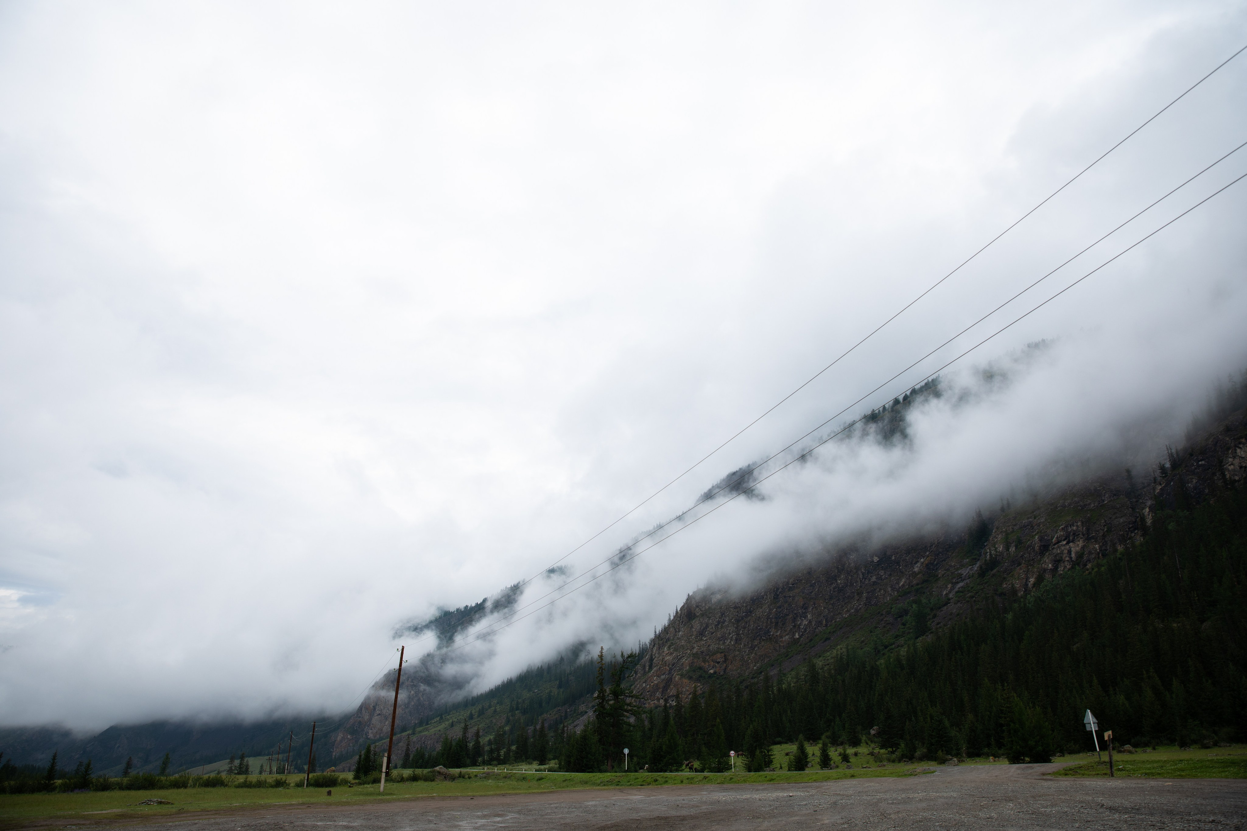 Altai. Yulia Tsyganova