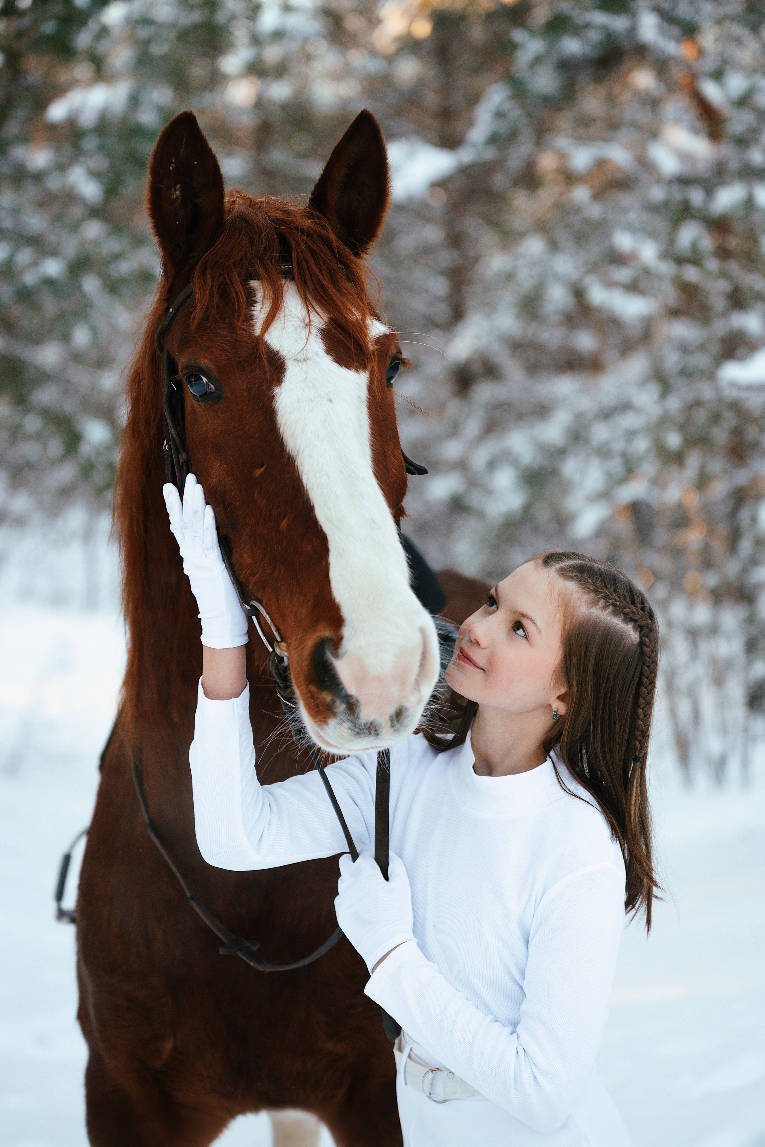 Конные. Фотограф Сибирика (Ирина Кузнецова), Санкт-Петербург и ЛО — портреты, свадьбы и семейные съемки. Творческий подход и качественные фото