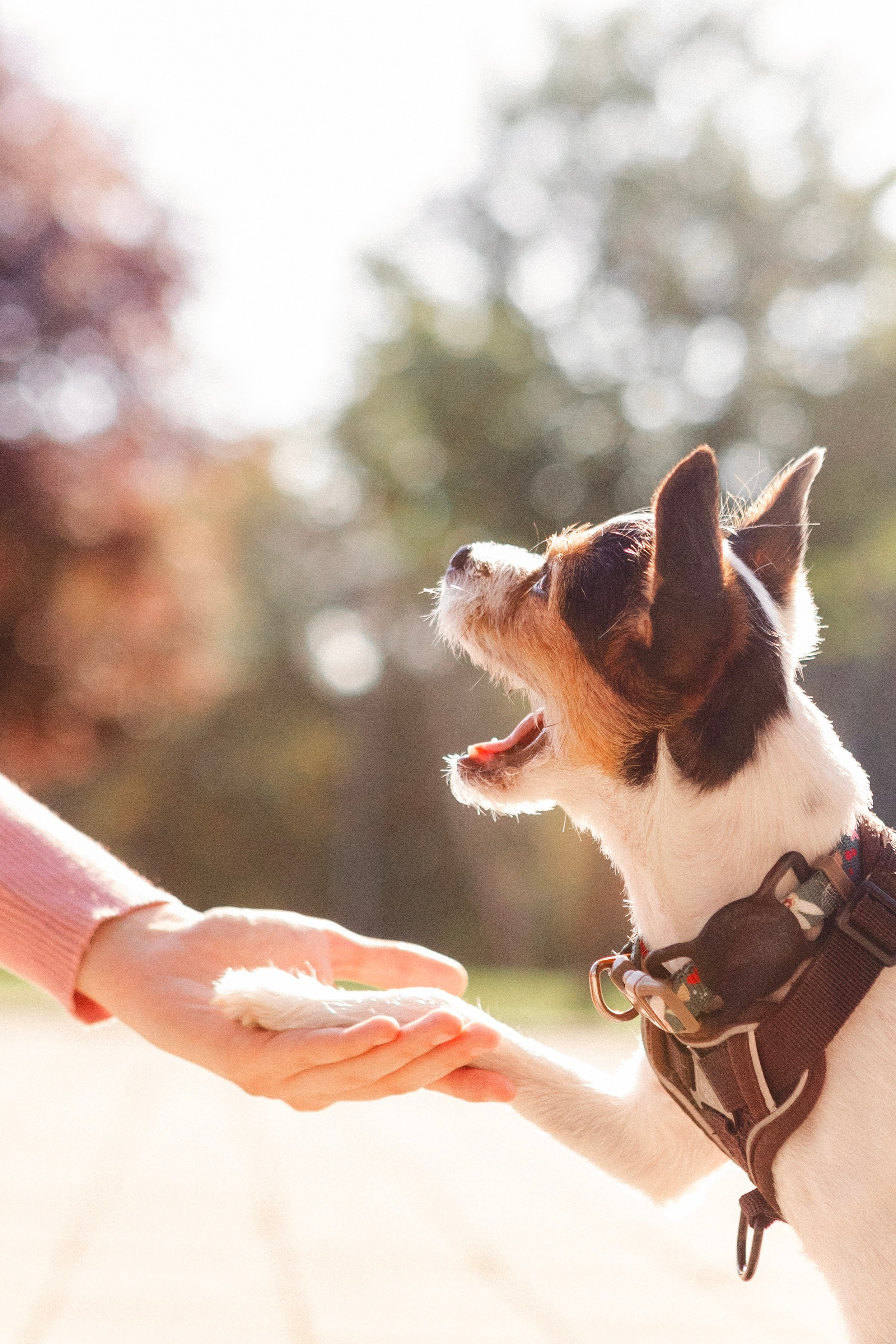 Лайфстайл. Портреты и лайфстайл в Краснодаре