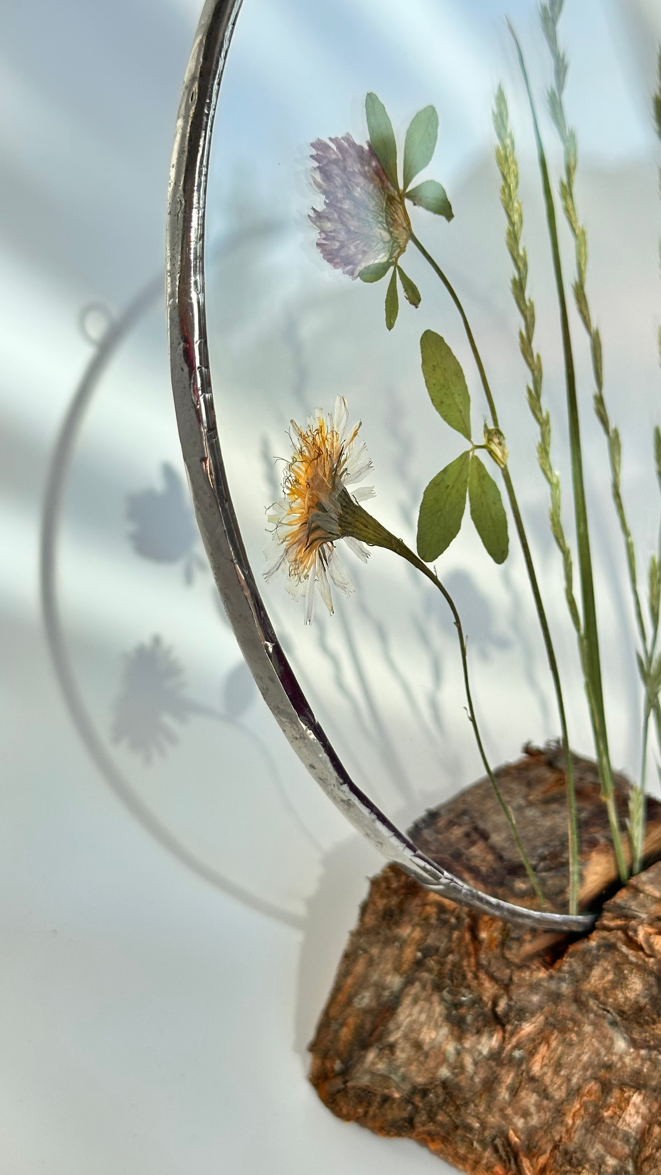 Гербарий полевые цветы витраж техника тиффани. Гербарий в стекле, интерьерные панно, витражи с сухоцветами в технике тиффани