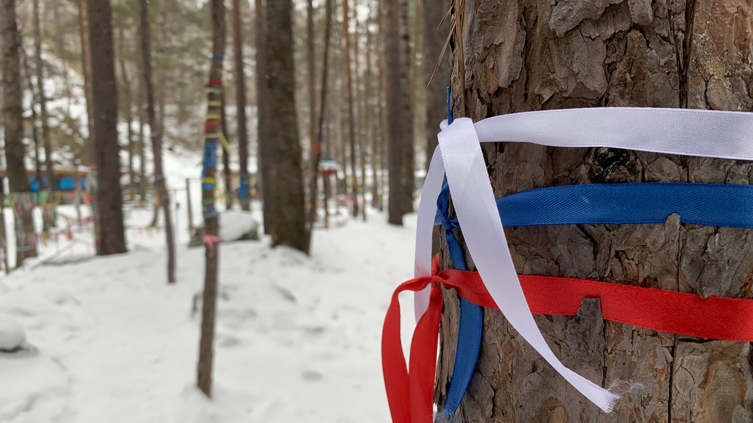 2022. Тащилин Сергей. Фотографии. Жизнь. Хобби