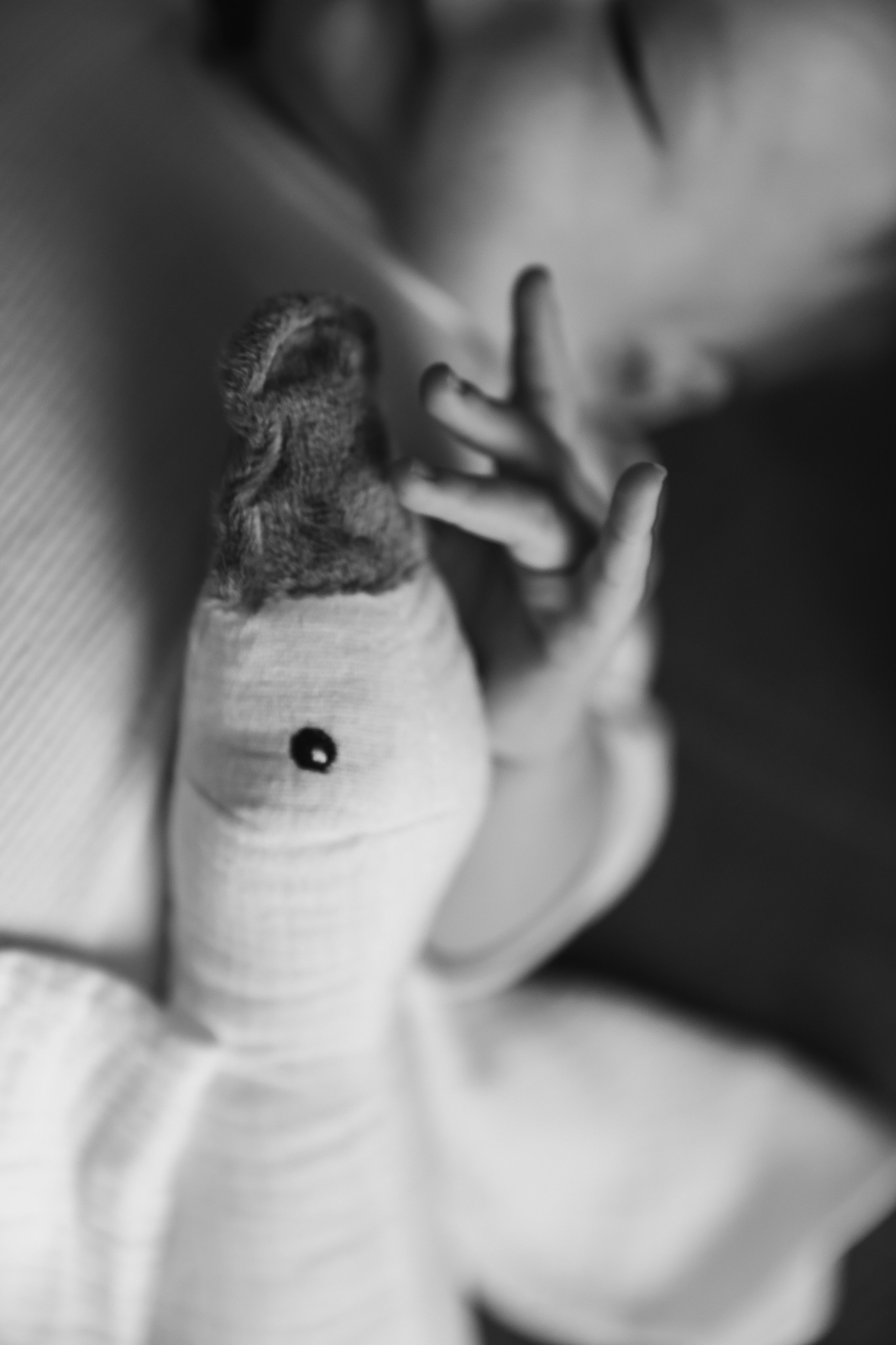 Карина семья. Свадебный и семейный фотограф в Севастополе и Крыму Анастасия Сураева