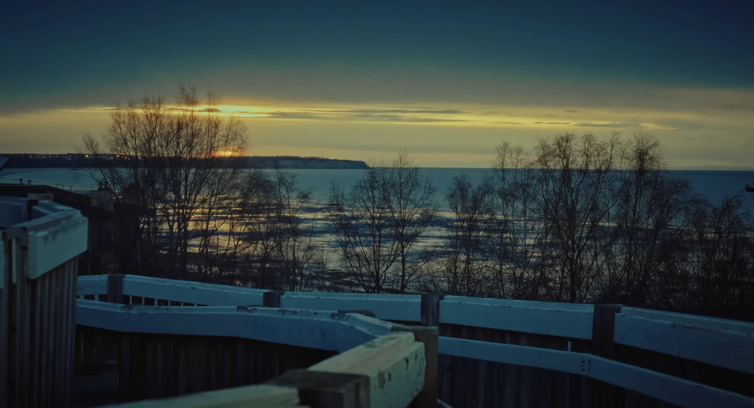 My transformation or how I became homeless in the USA. Tokcolor