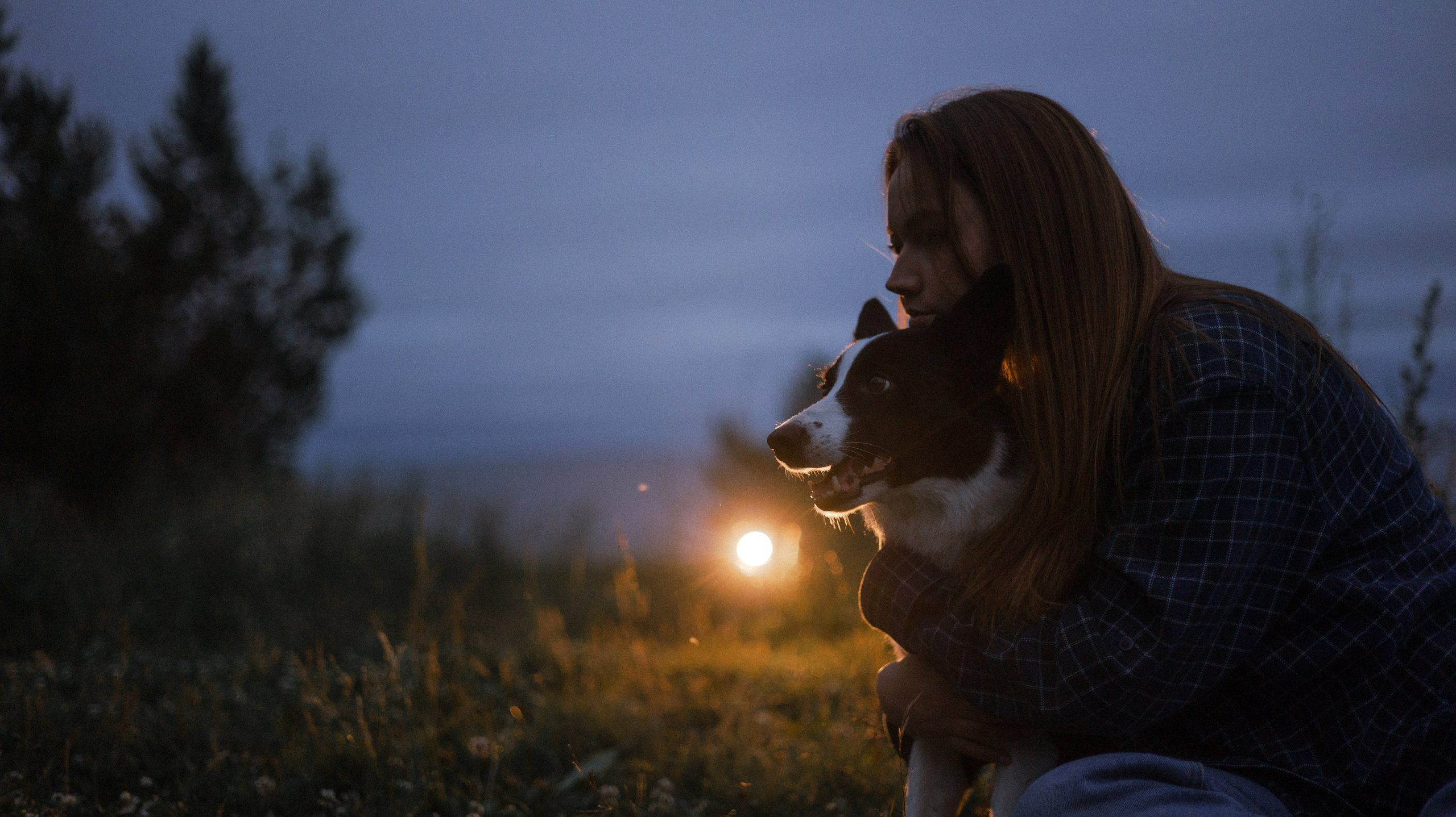 Аделя, Вандер, Шайна и Бая. Фотограф-анималист Богданова Полина