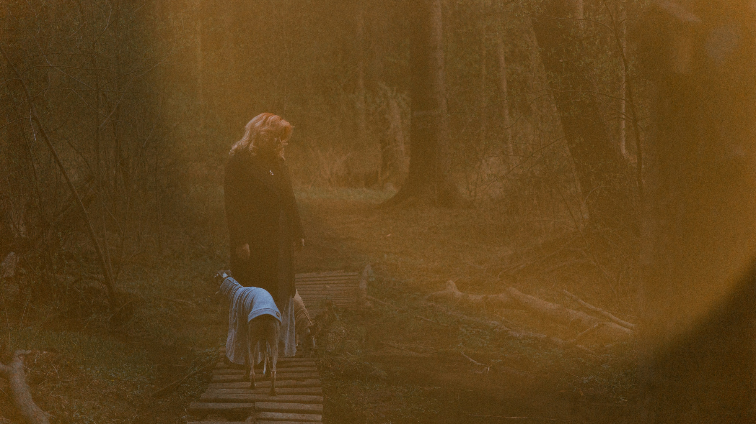 Вика, Джем и Белла. Фотограф-анималист Богданова Полина