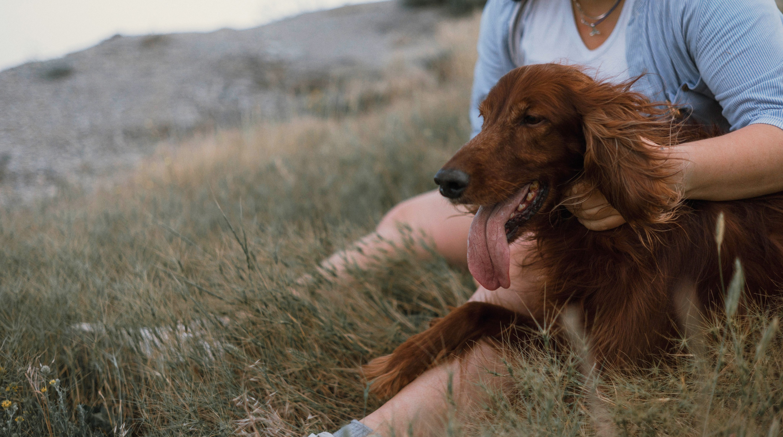 Ольга и Шеймас. Фотограф-анималист Богданова Полина